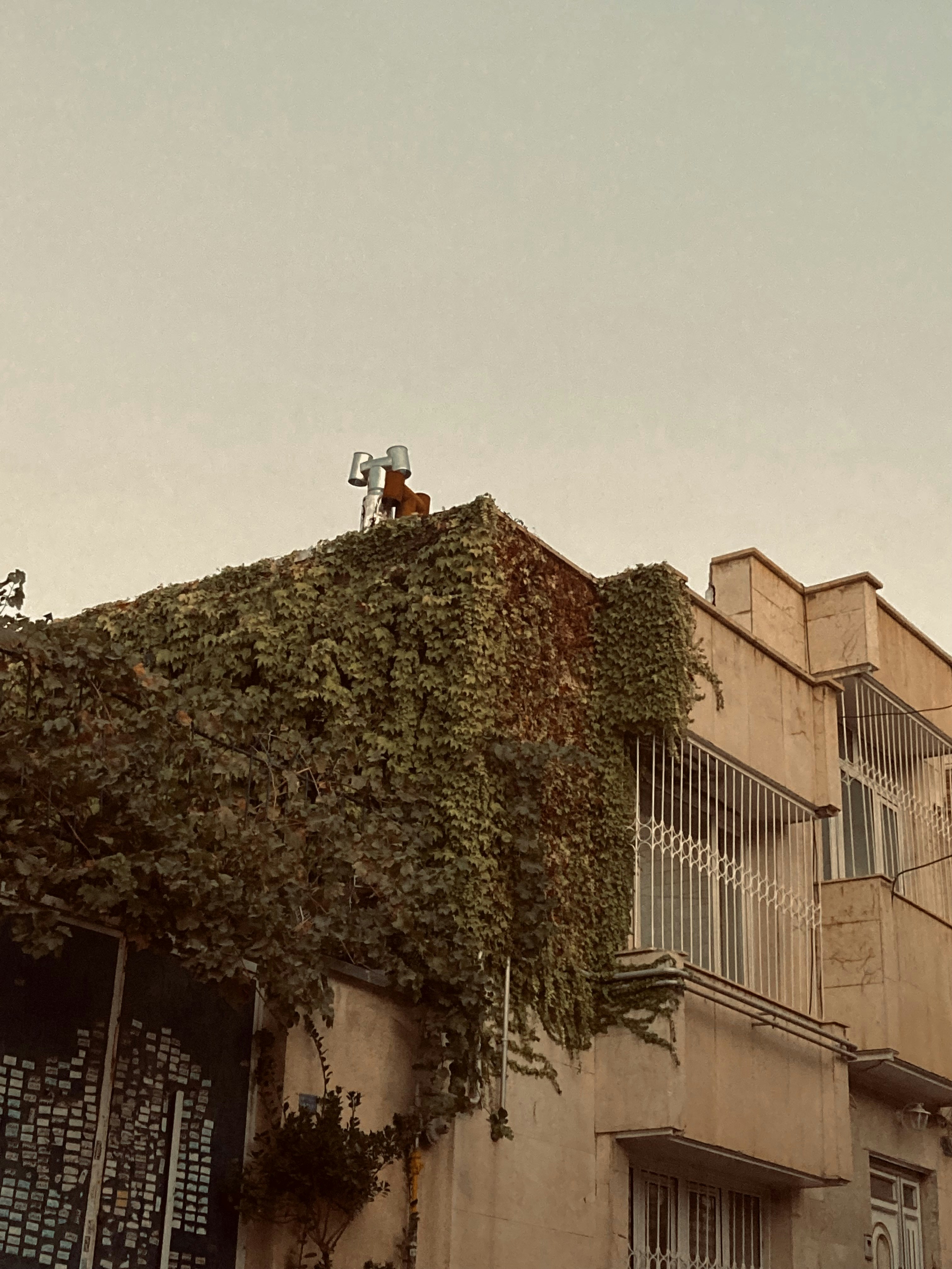 a building with a tree growing on it