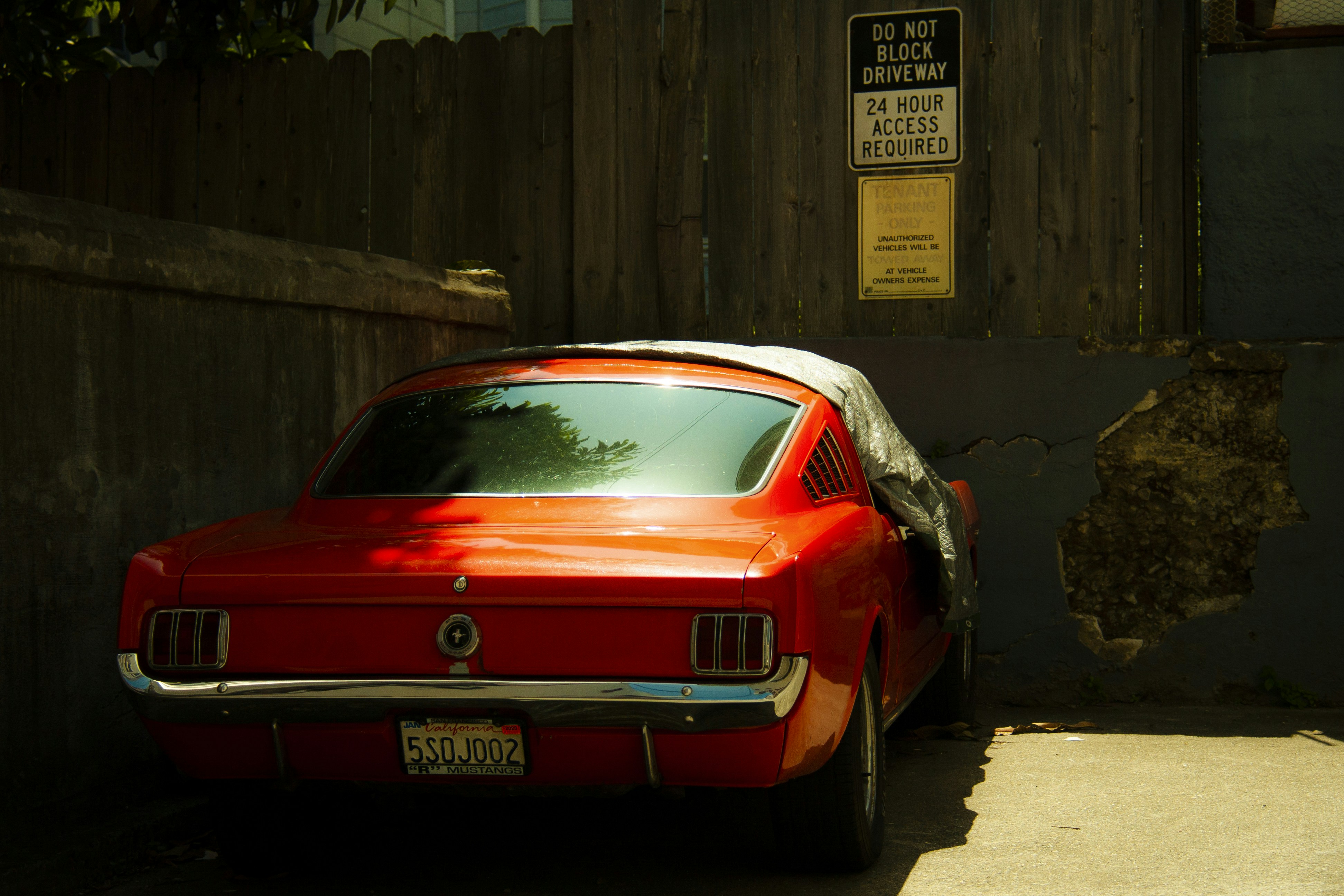 Photo by radcartier
