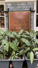 A decorative cafe sign with the name 'COCocafe' surrounded by lush potted green plants. The sign is mounted on a gray brick wall, and the foliage features large green leaves with light-colored speckles, adding a natural and inviting atmosphere.