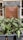 A decorative cafe sign with the name 'COCocafe' surrounded by lush potted green plants. The sign is mounted on a gray brick wall, and the foliage features large green leaves with light-colored speckles, adding a natural and inviting atmosphere.