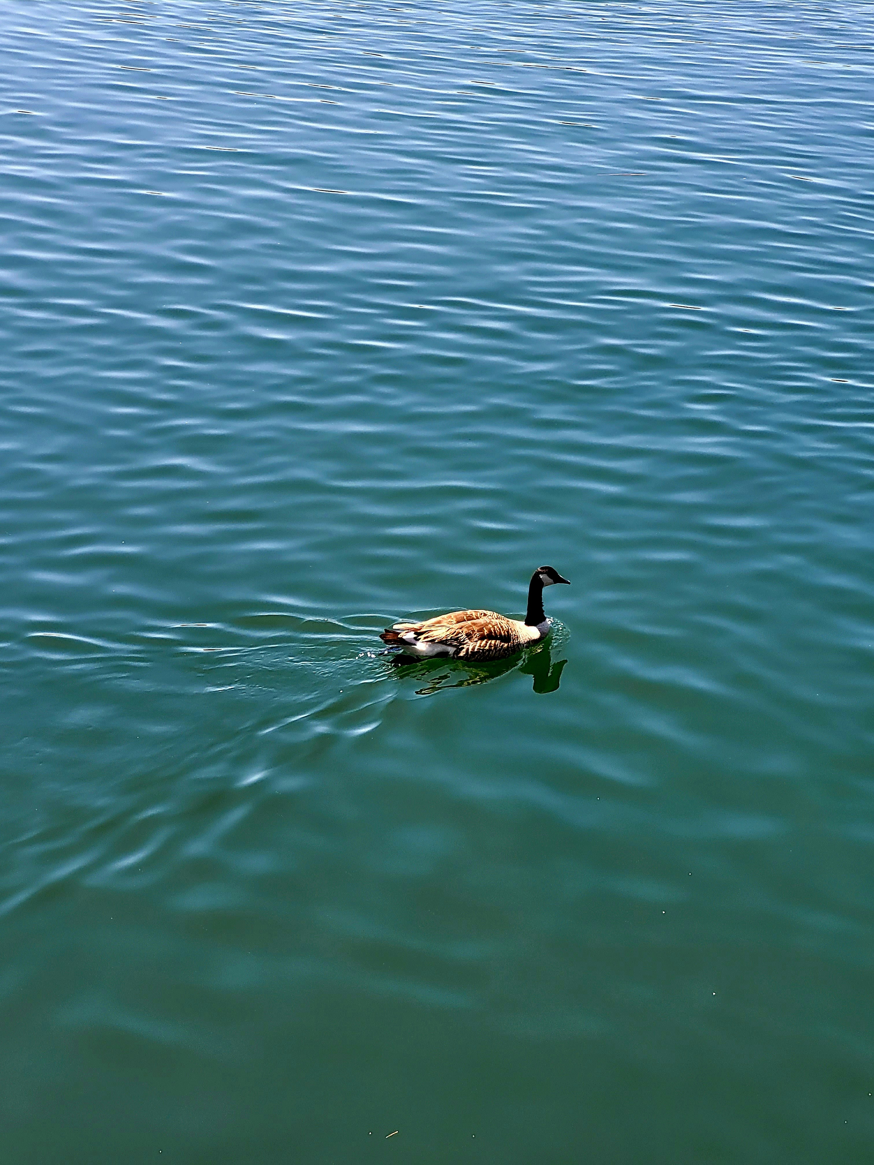 Photo by dozieumeani