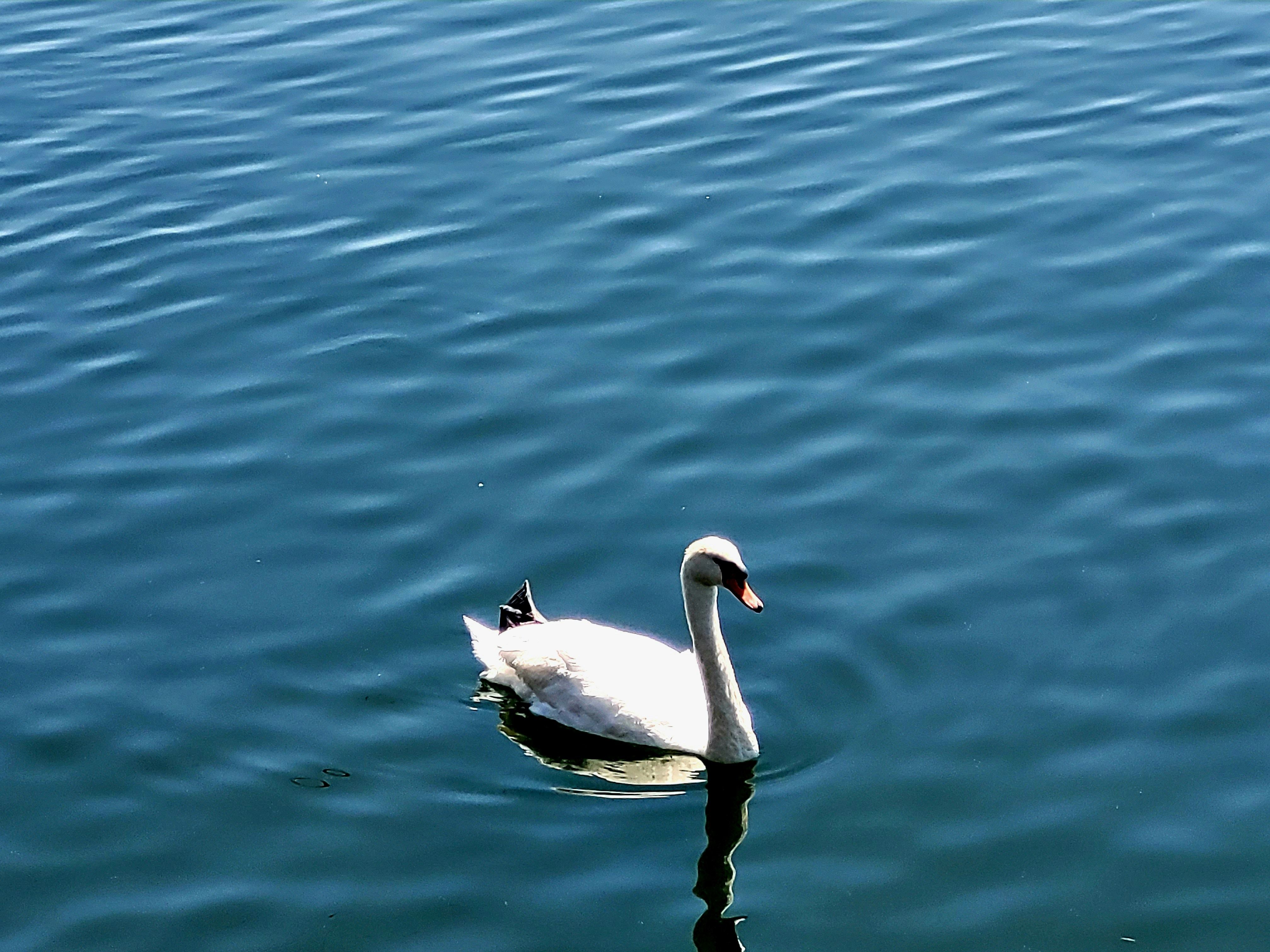 Photo by dozieumeani