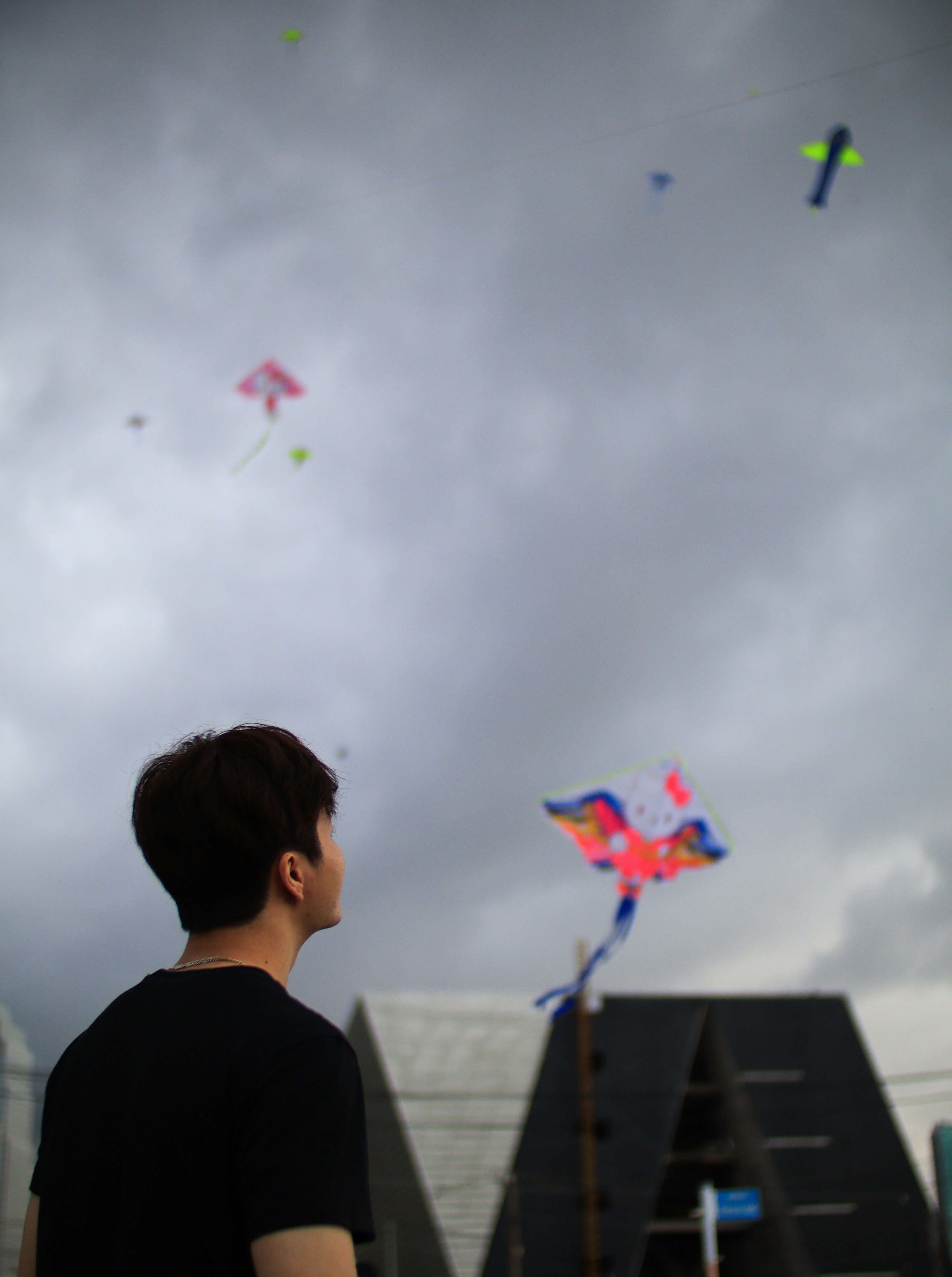 Kites in the sky