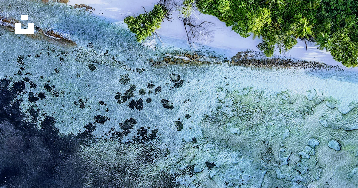 A river with a waterfall and trees photo – Free Maldives ocean Image on ...