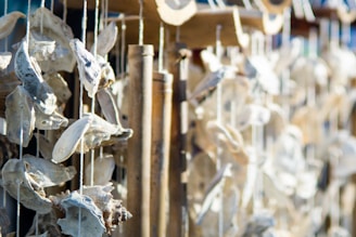 Shells and pieces of driftwood are suspended by strings, creating a natural and rustic hanging decoration. The textures of the shells are rough and varied, with soft sunlight illuminating them from the side. The background is softly blurred, emphasizing the focus on the hanging elements.