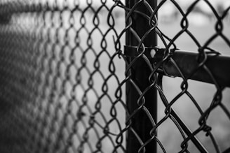 Close-up of galvanized steel chain-link fence showing sturdy mesh pattern.