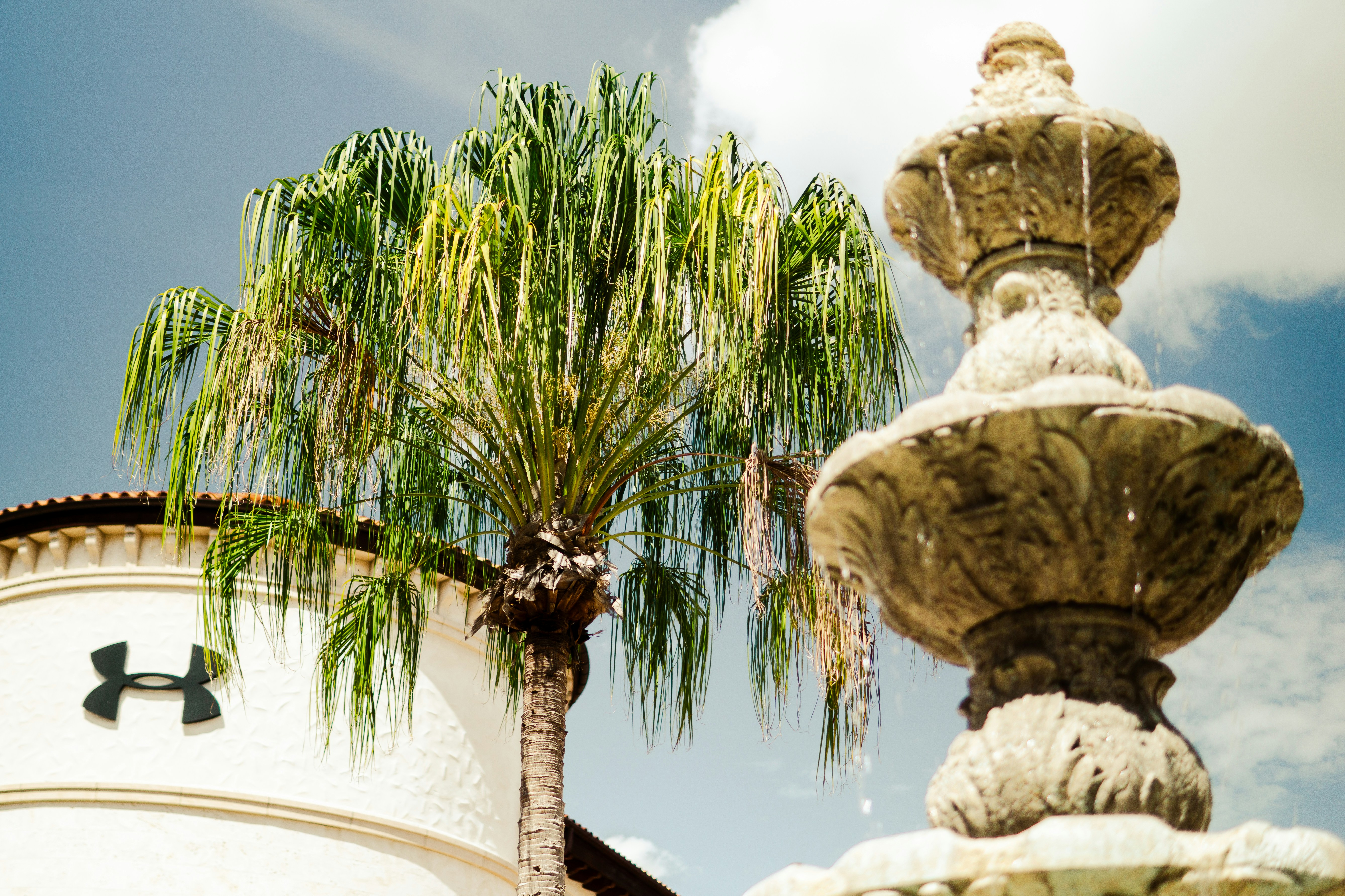 Photo by metalpsychologist