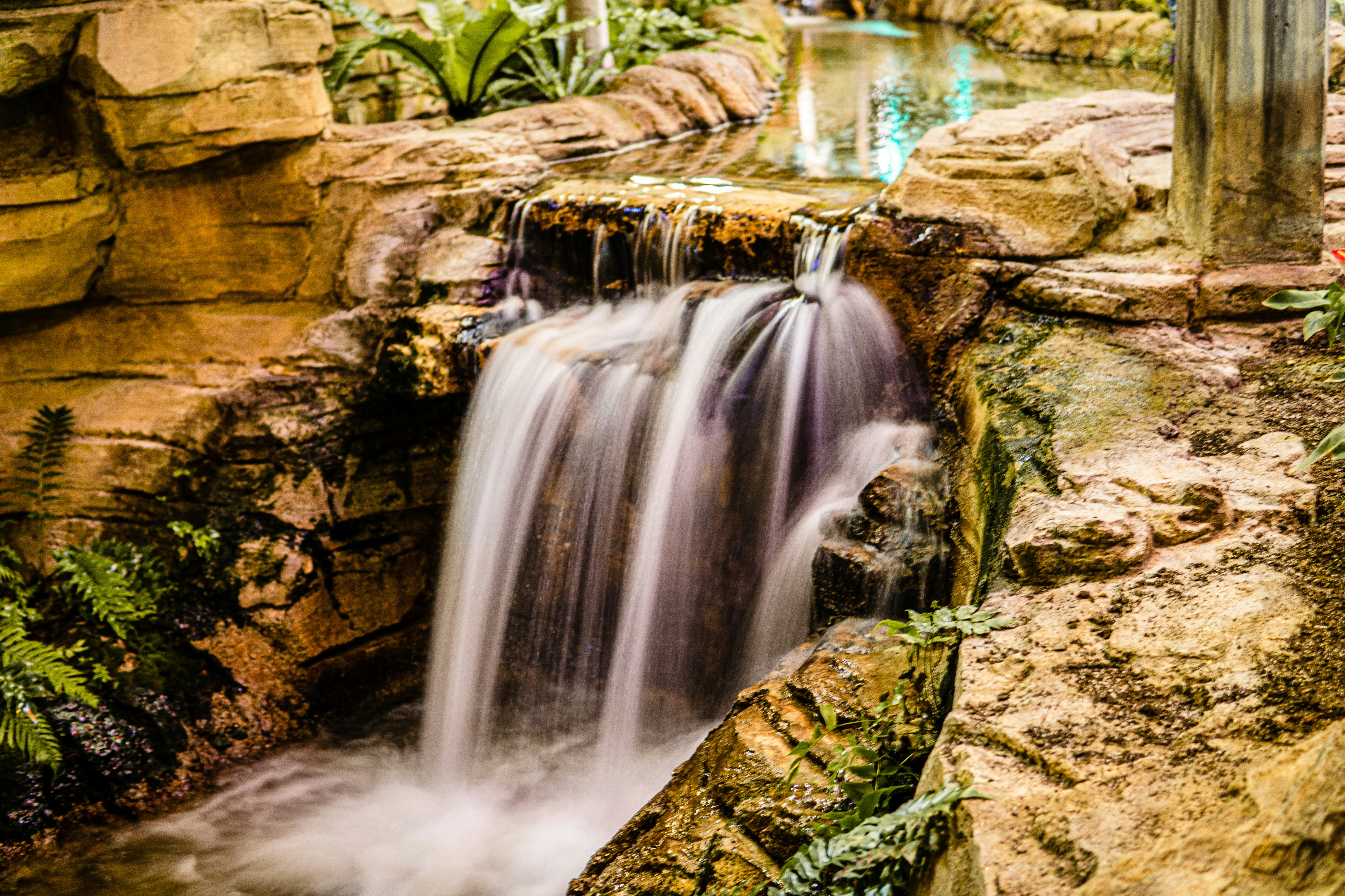 Photo by metalpsychologist