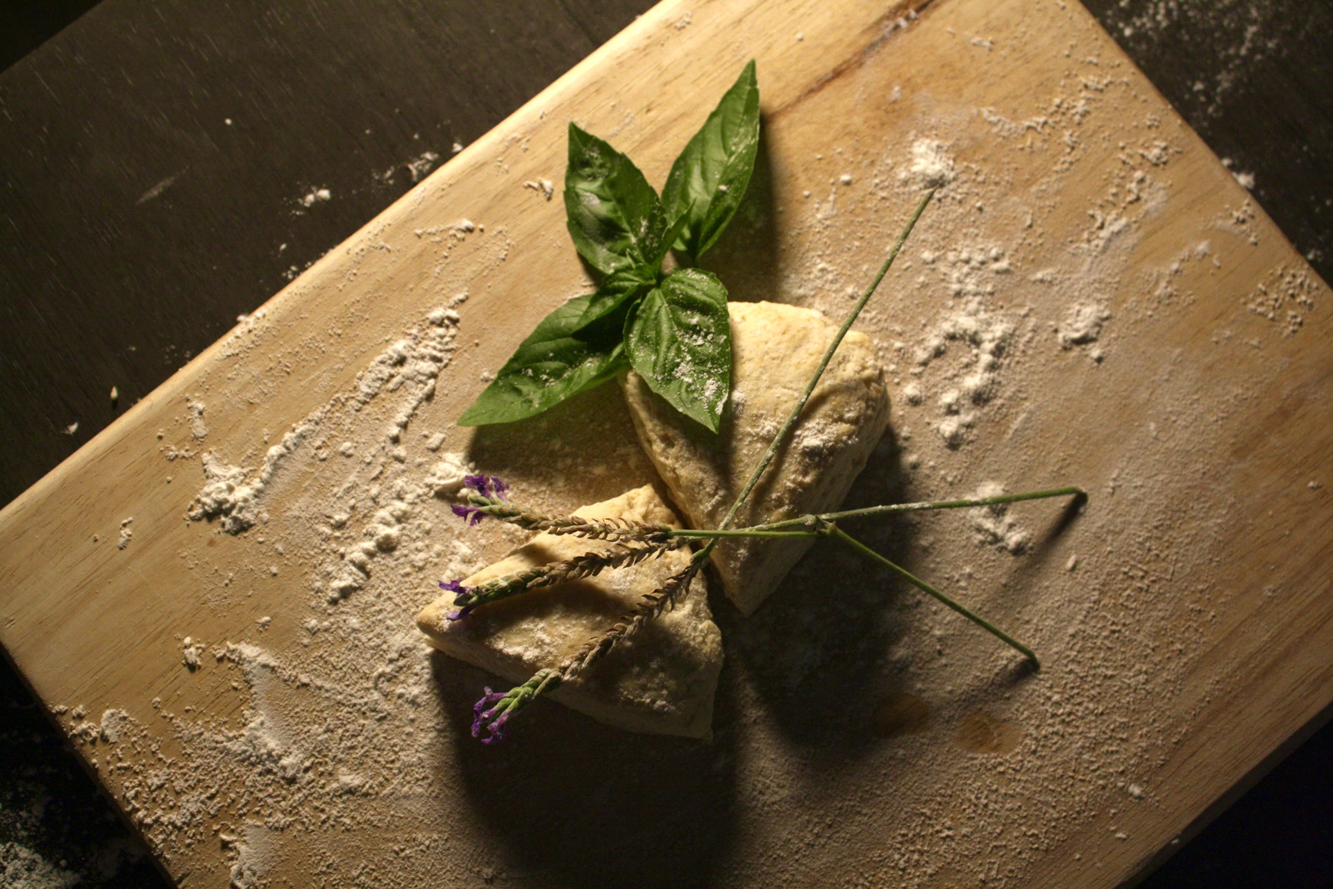 a plant growing in a puddle