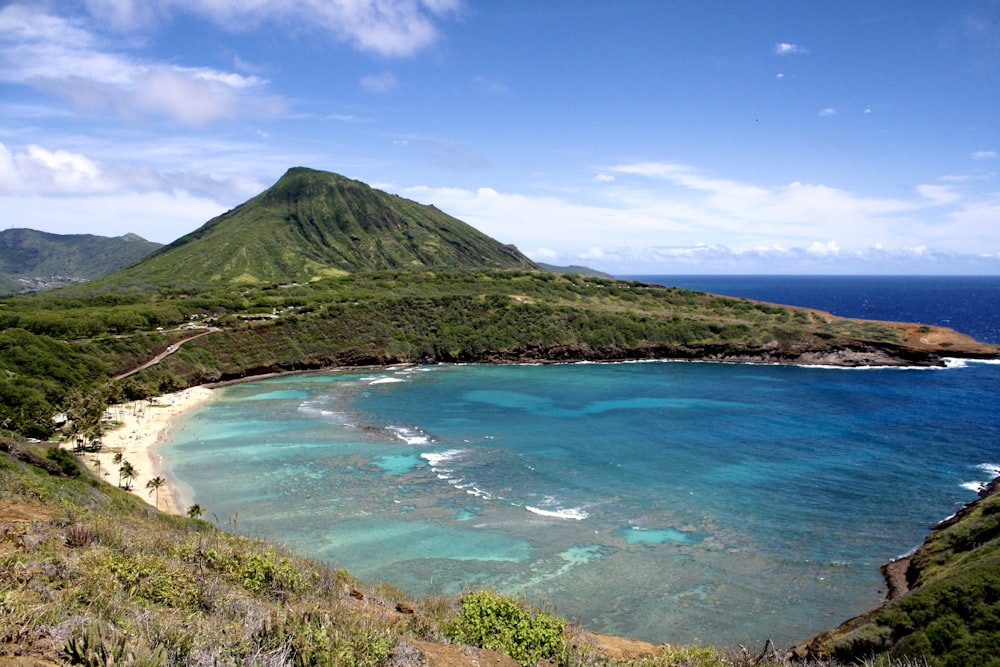 a beach with a body of water by a hill with trees