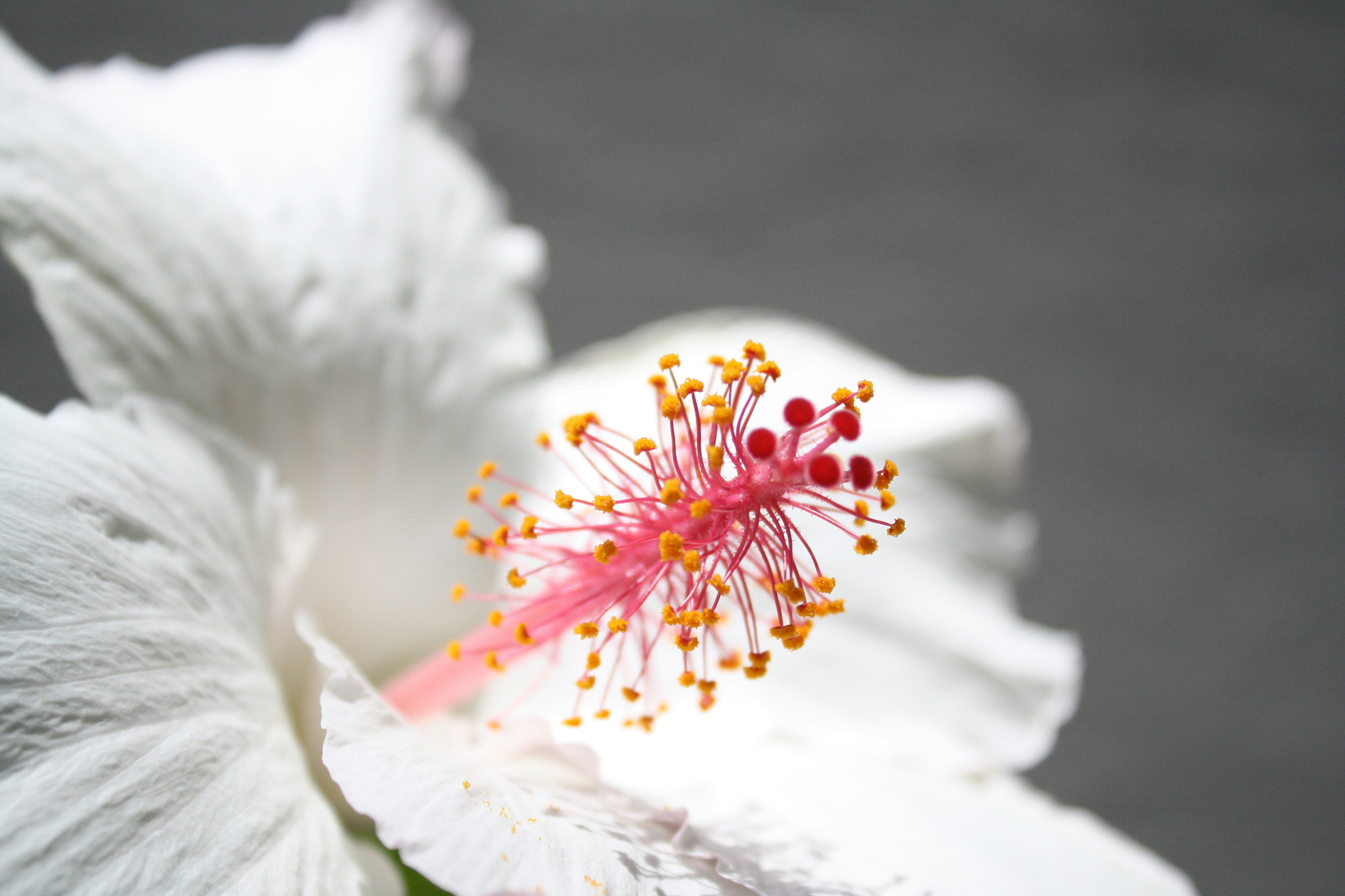 Photo by kaydnontoast