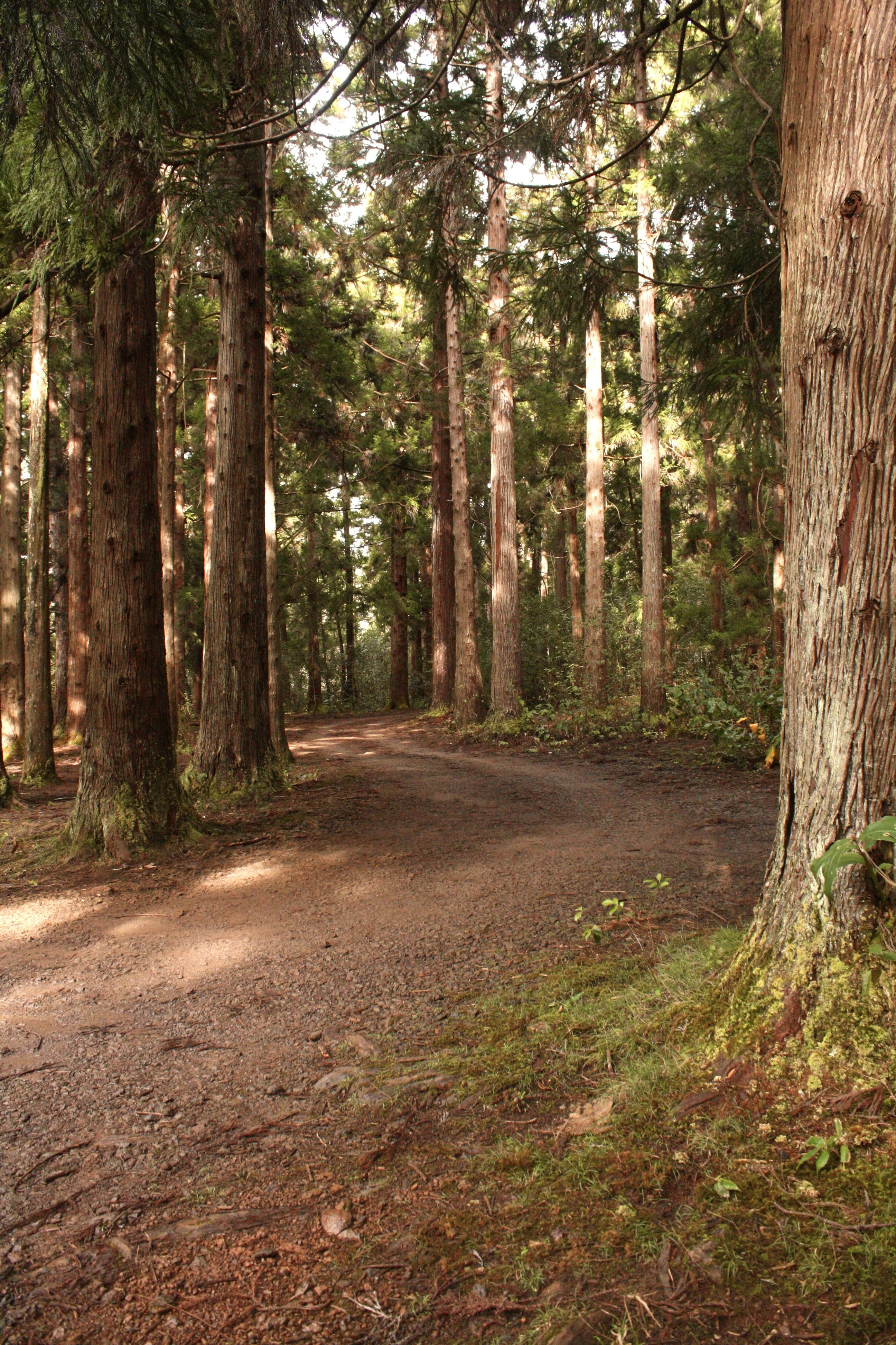 Photo by kaydnontoast