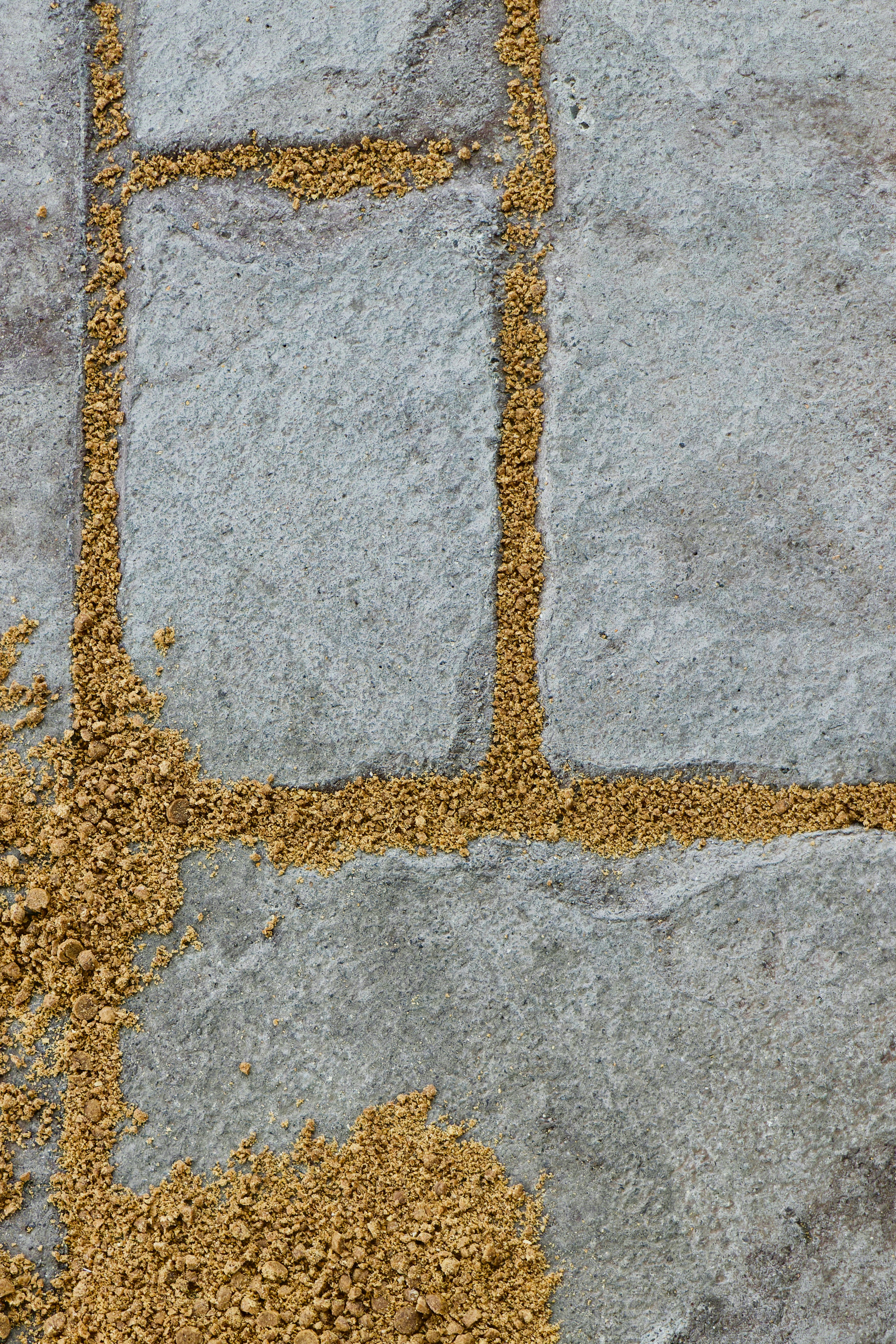 Photo by clayleconey