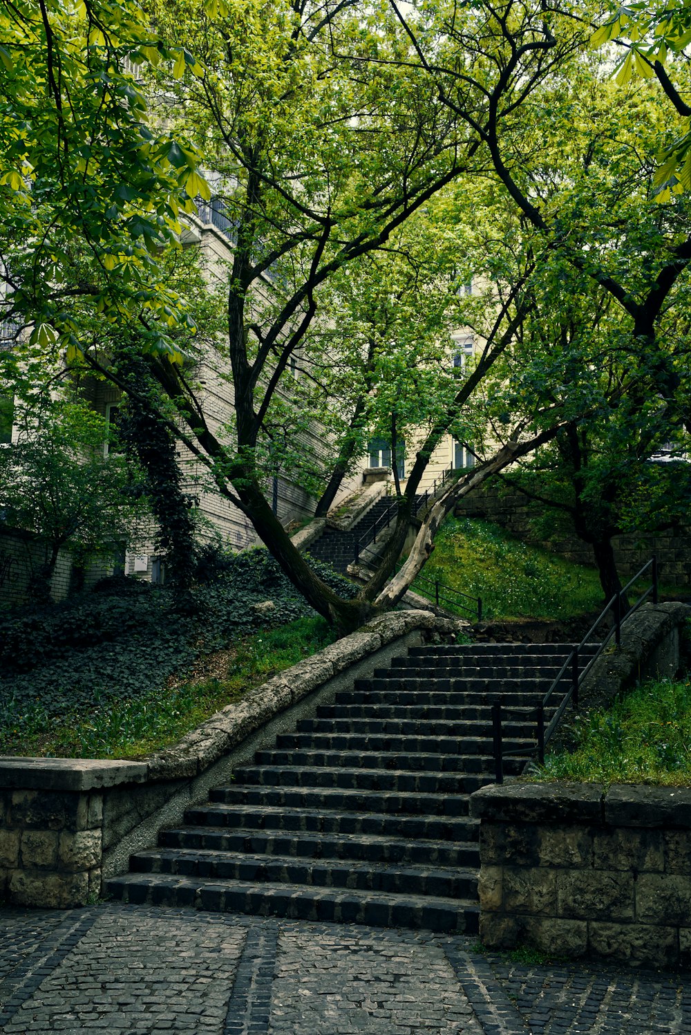 a stone staircase with trees on either side of it