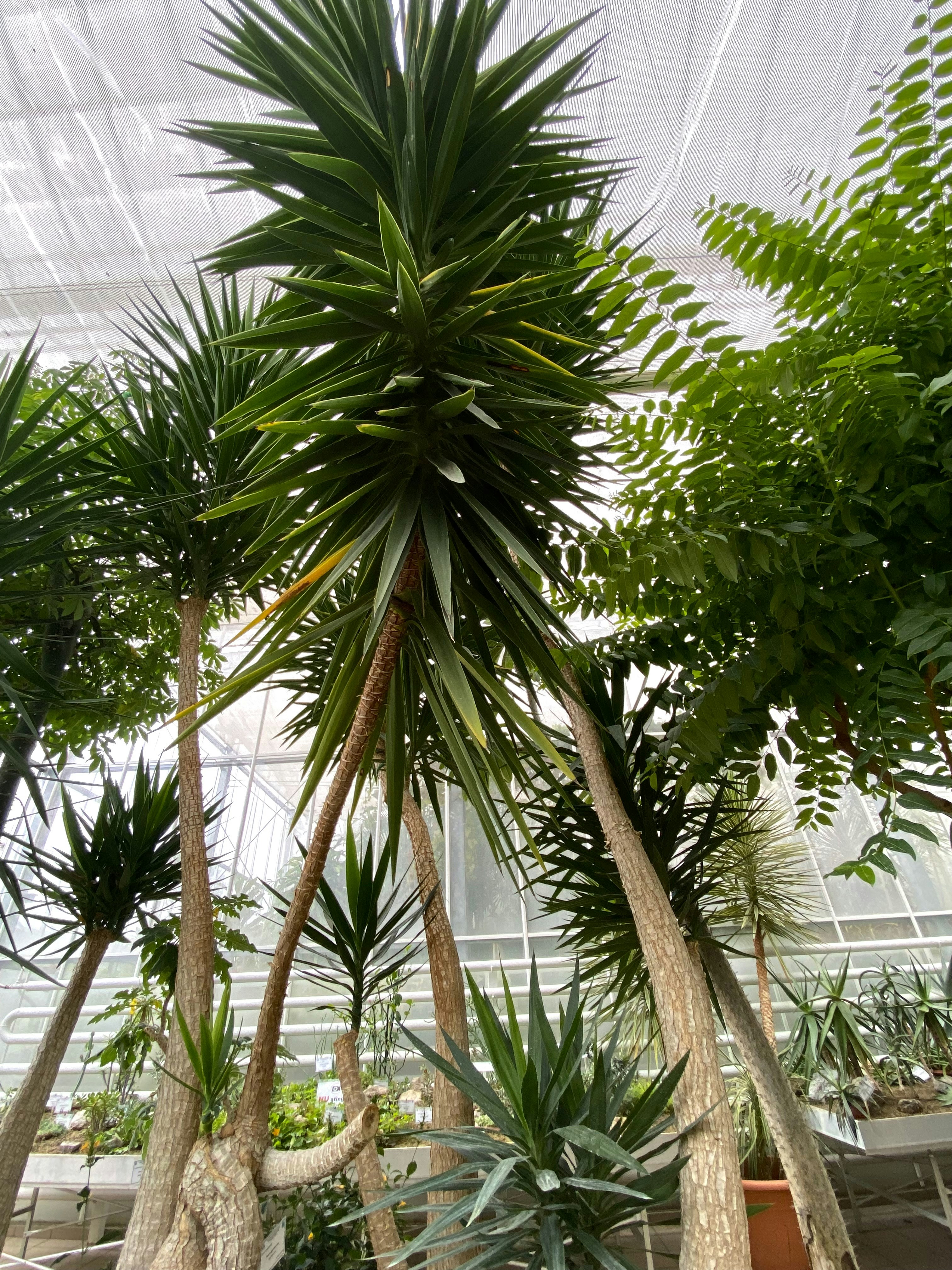 Photo by vamanualina