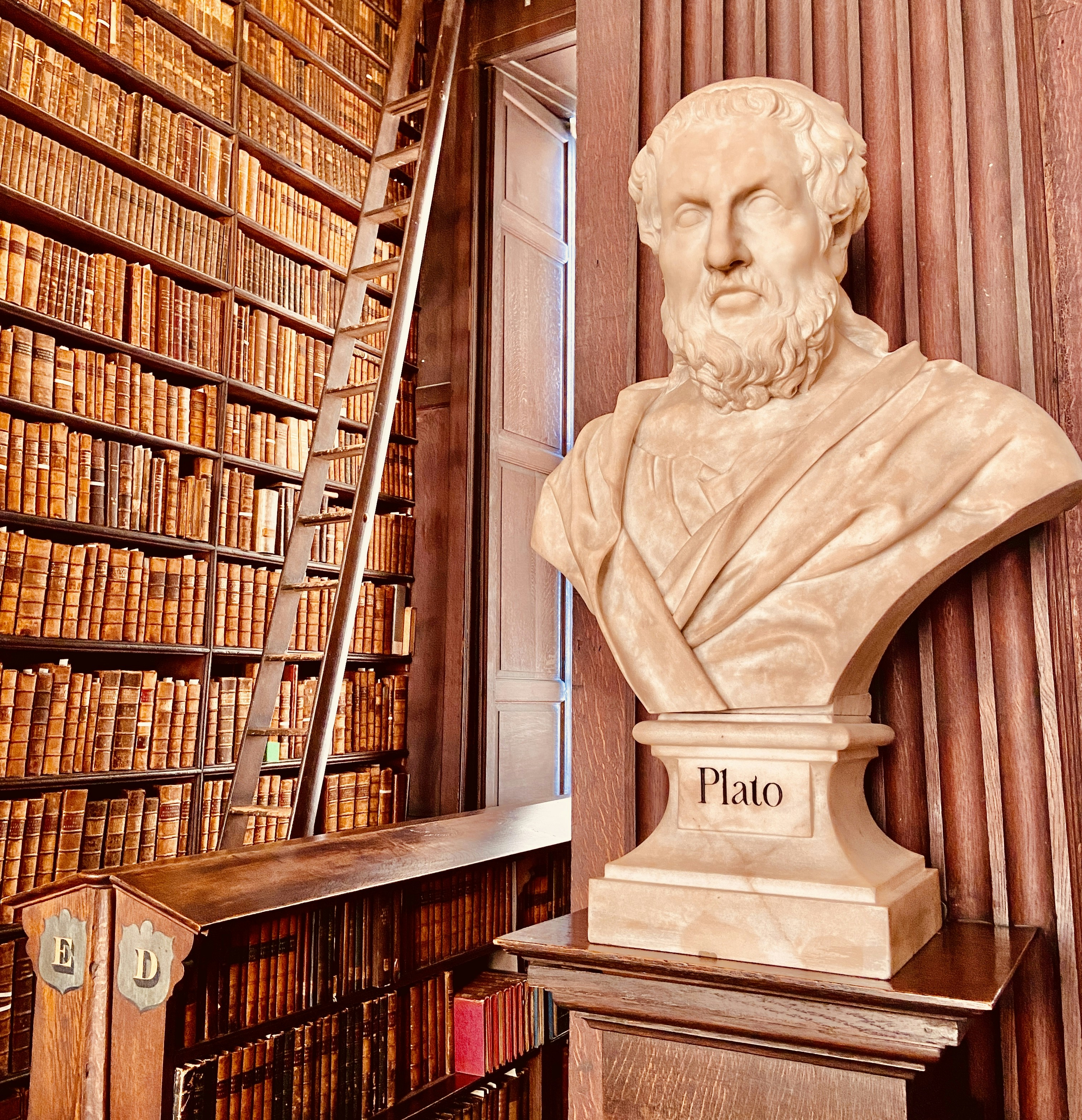 uma estátua de uma pessoa em uma biblioteca
