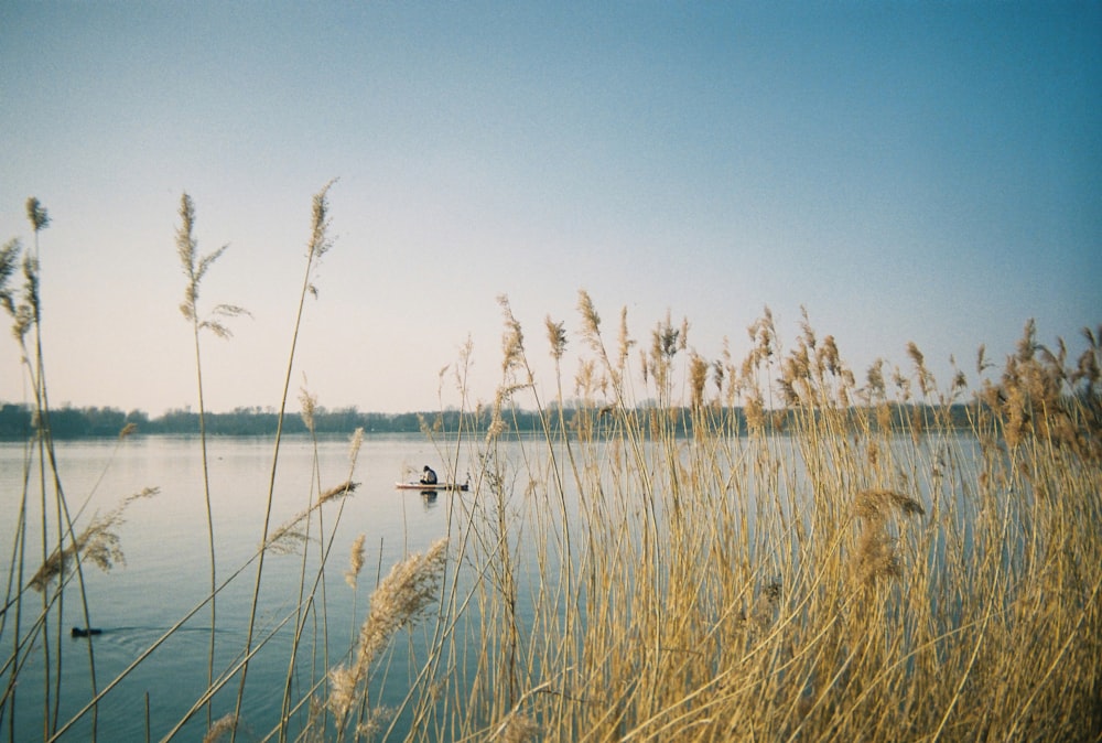 a boat on a lake