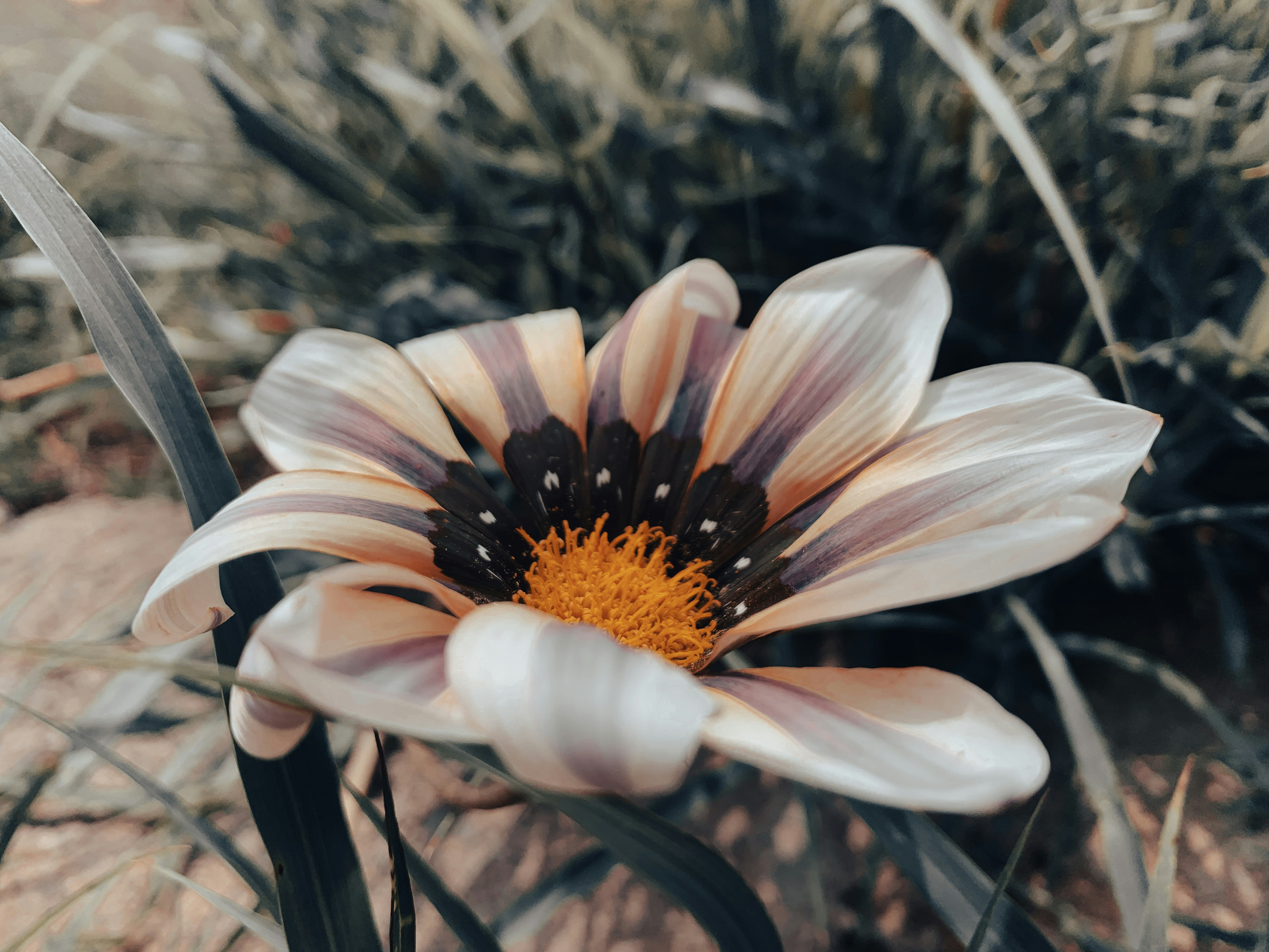 Photo by haryad