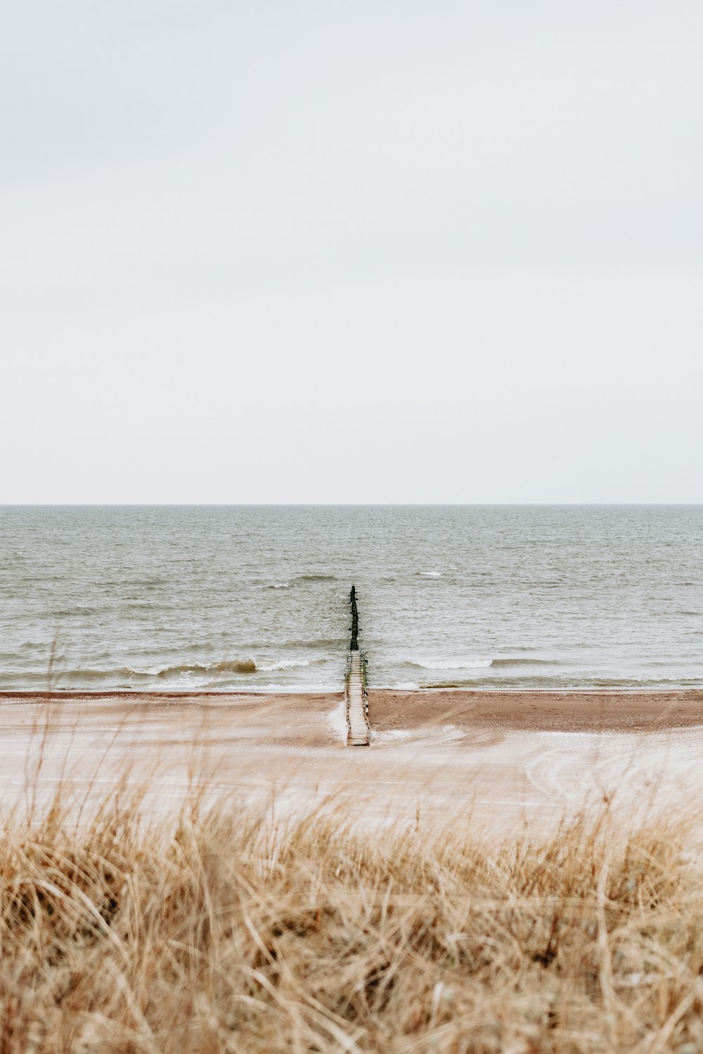 a sandy beach with a few sticks sticking out of the water