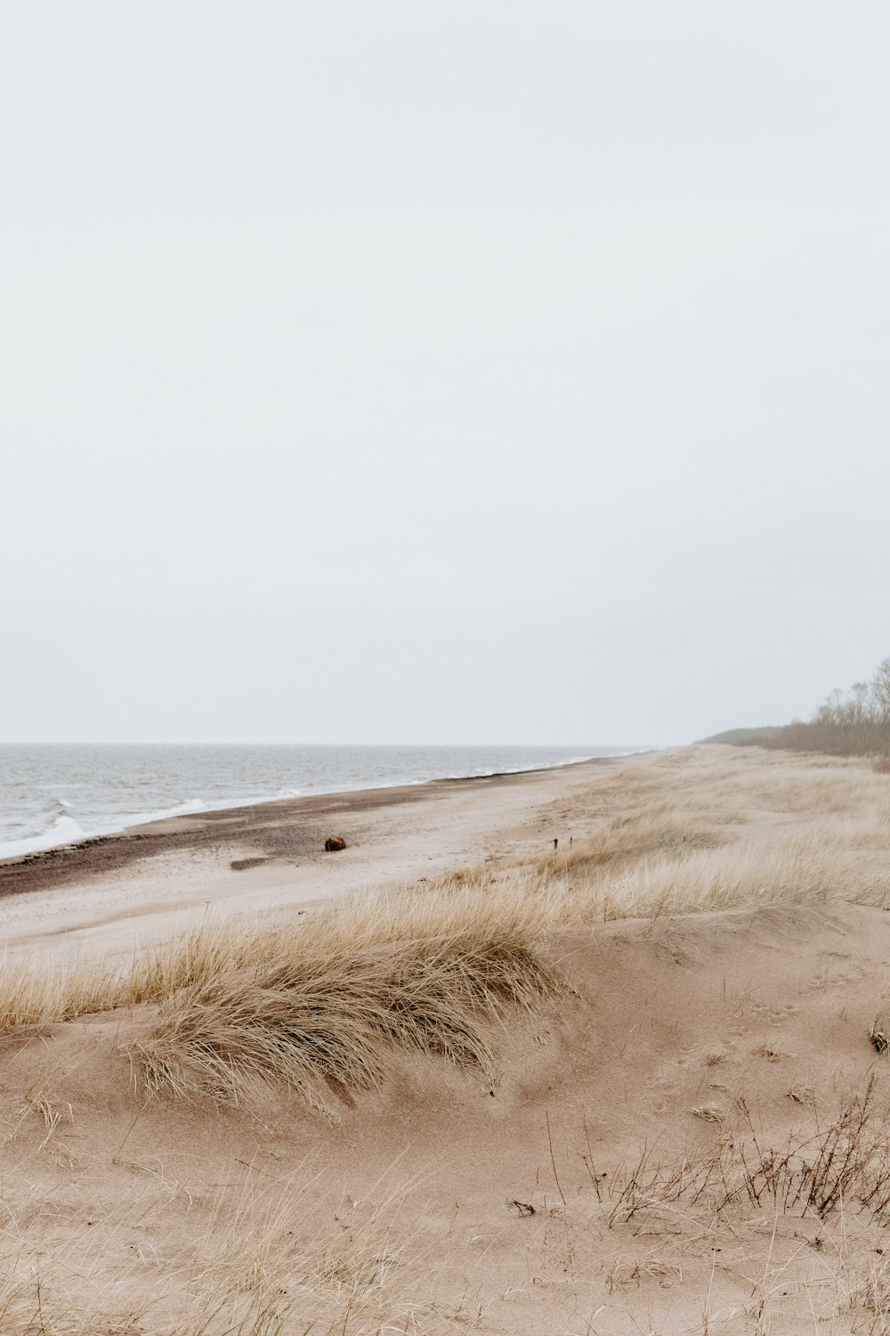 a sandy beach with water in the background