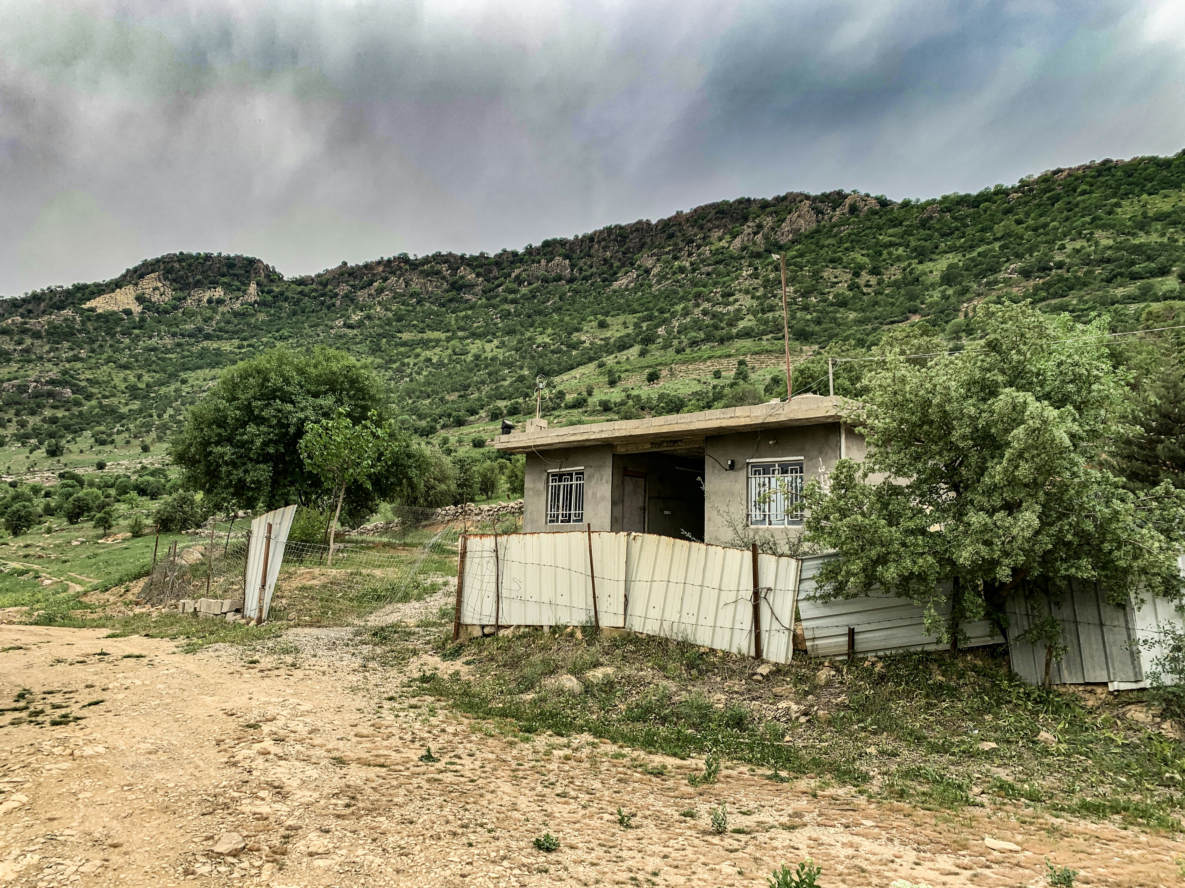 Photo by haryad
