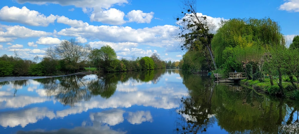 a body of water with trees around it