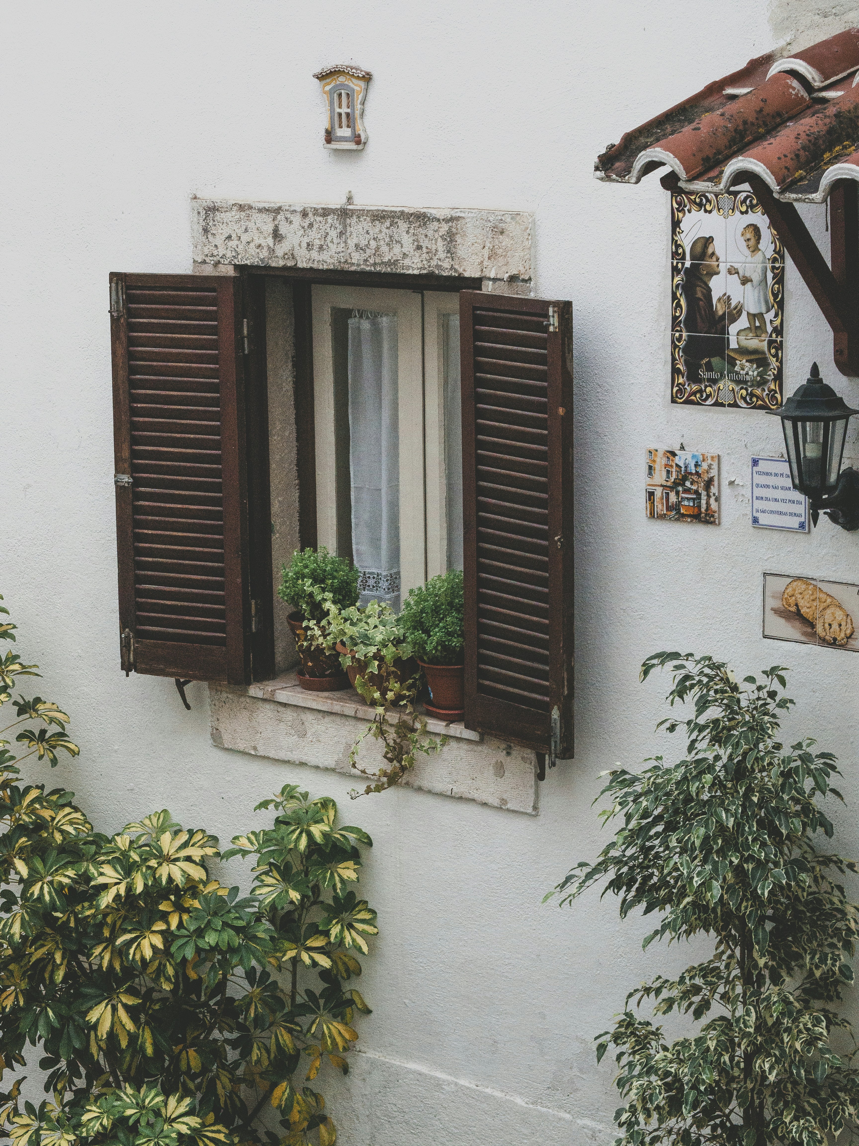 植物とドアのある窓