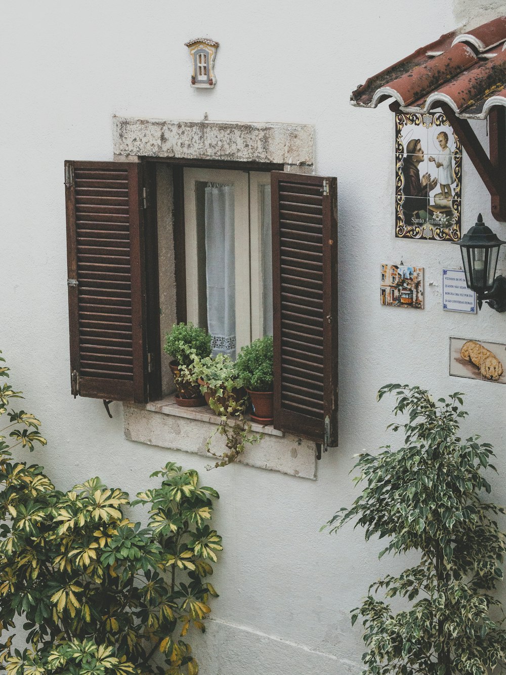 a window with plants and a door