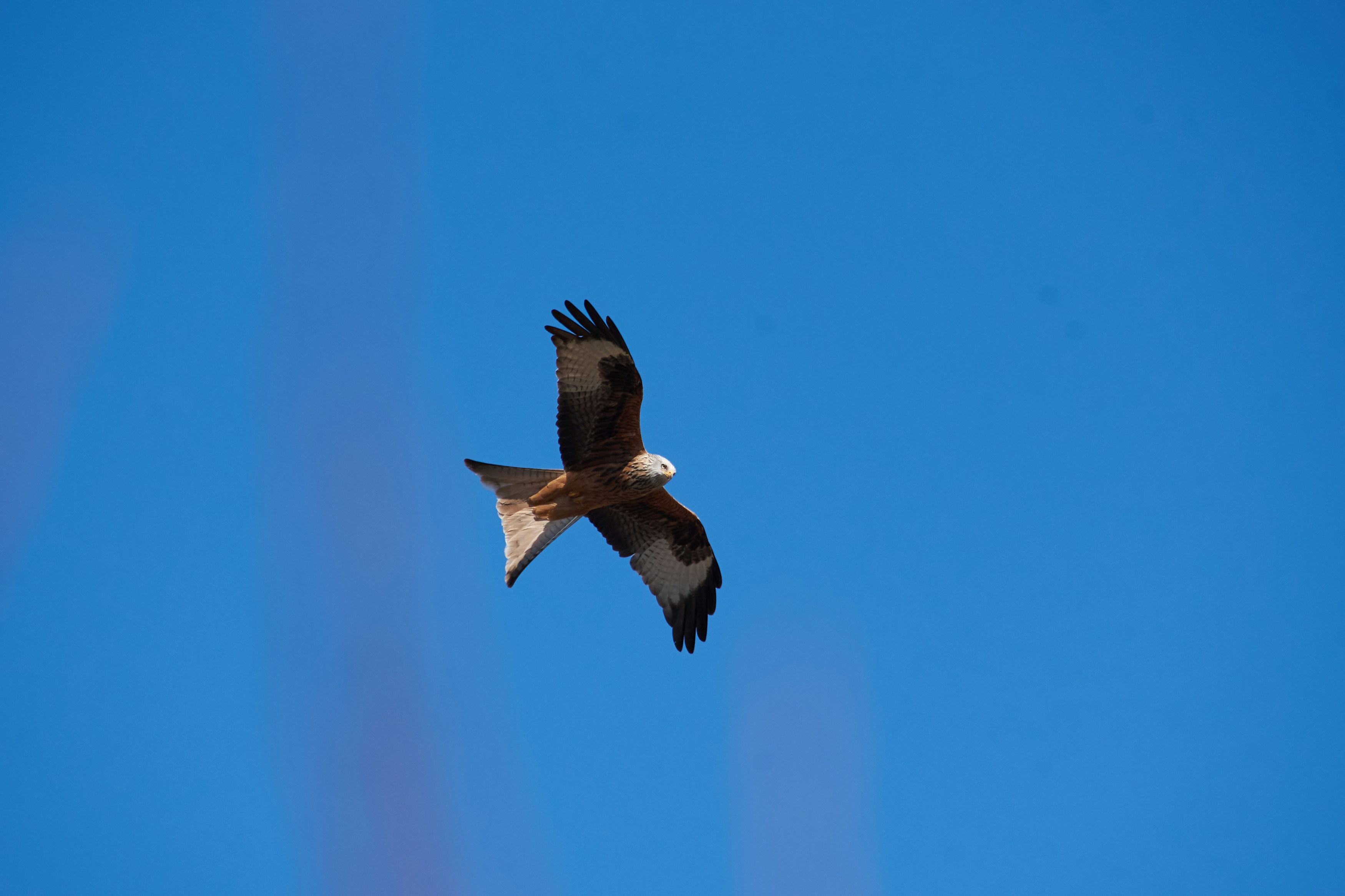 Photo by designbytholen