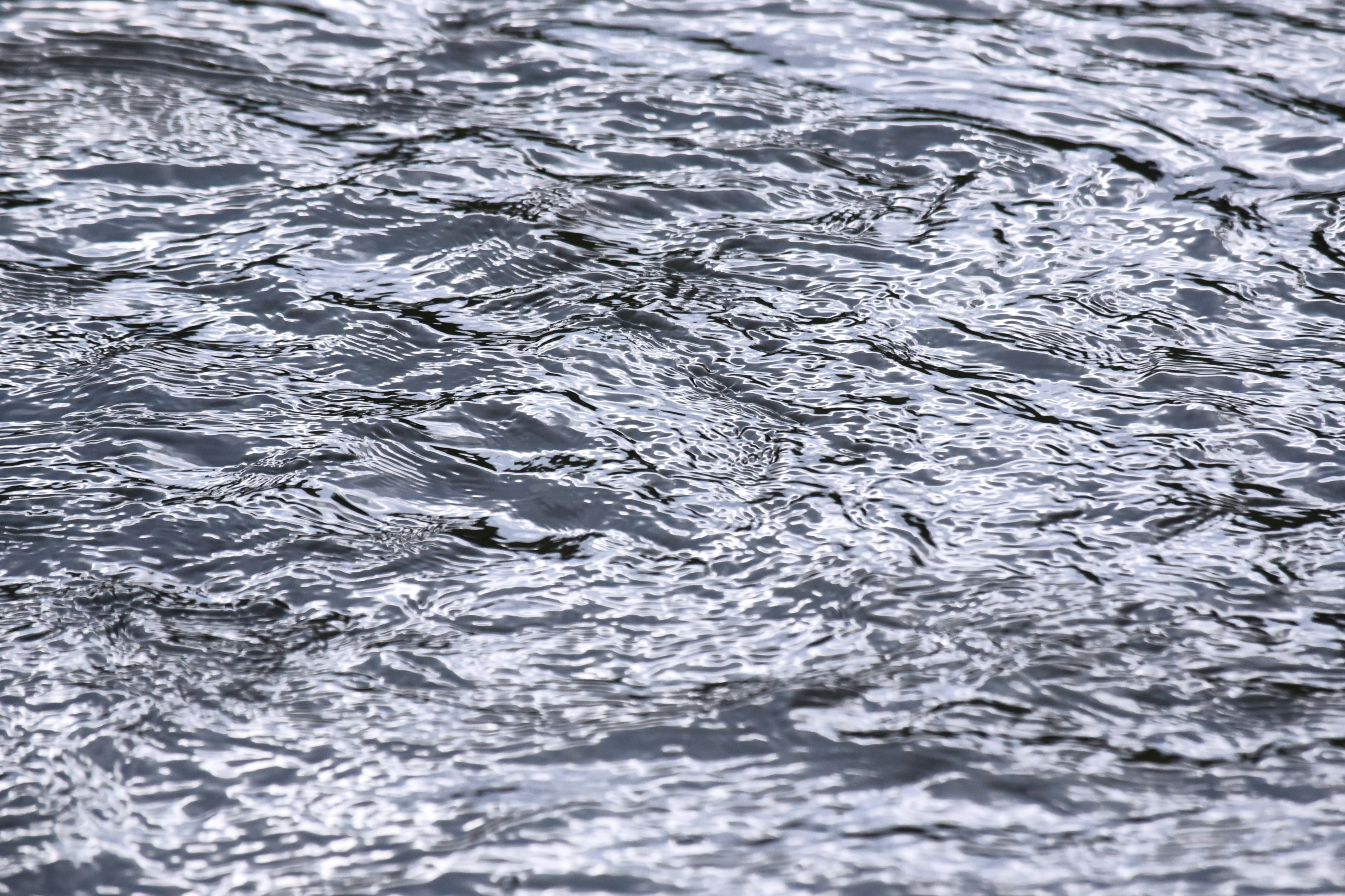 Photo by designbytholen