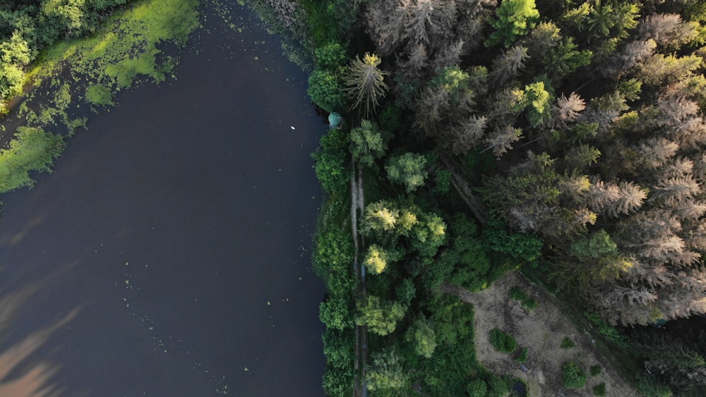 a river with trees and grass