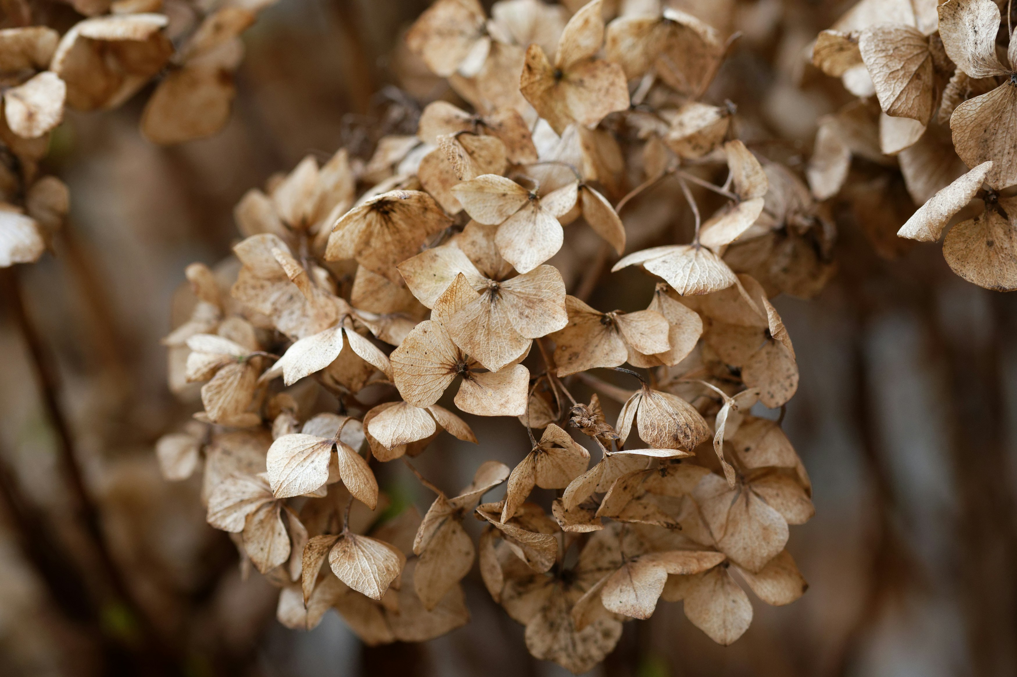 Photo by designbytholen