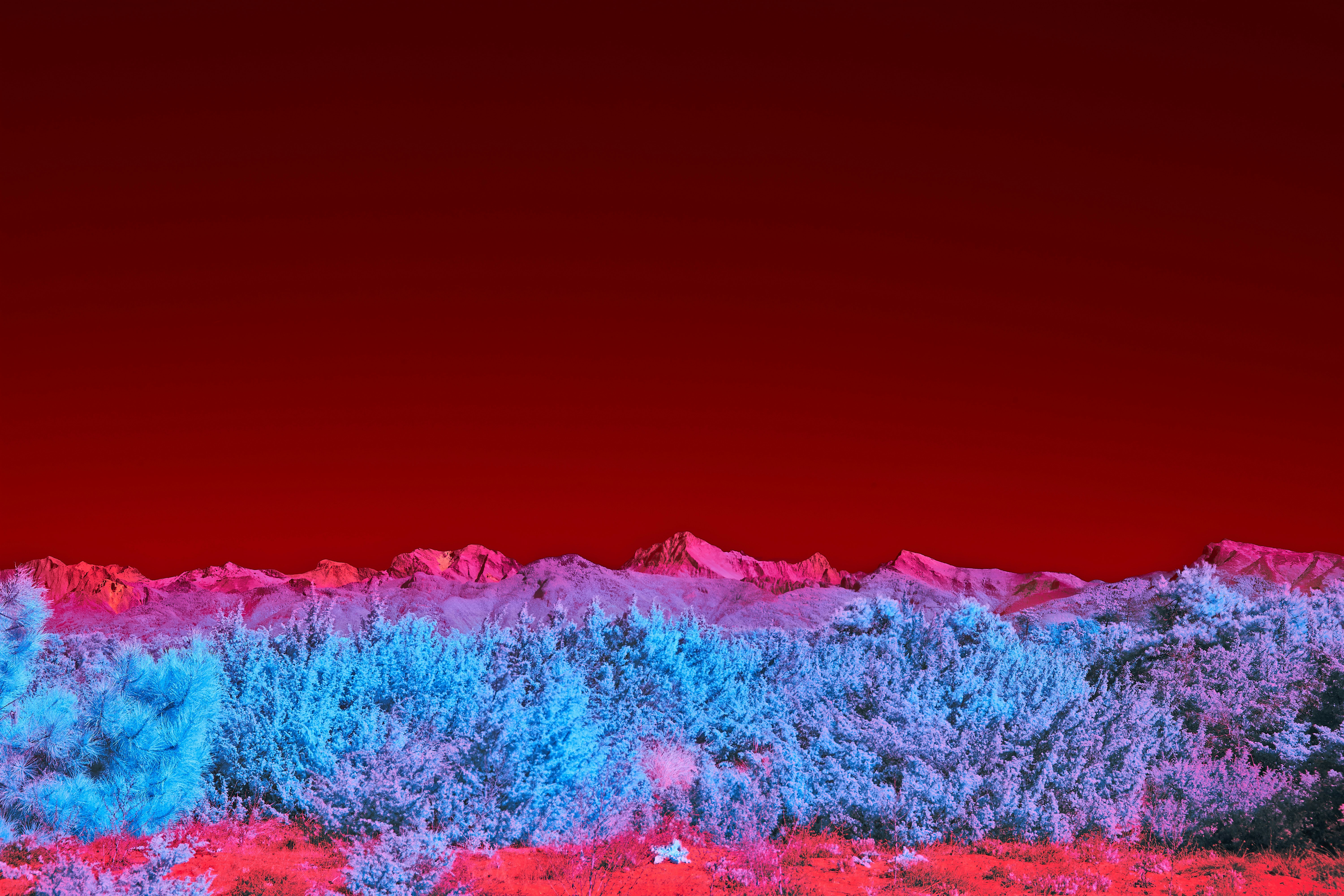 macro shot of optical photoplethysmography sensor array glowing green and infrared
