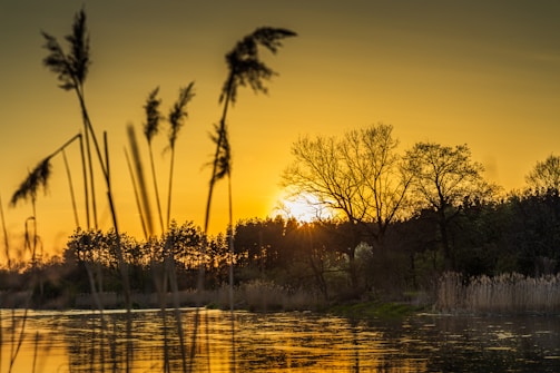 A serene landscape painting depicting a tranquil sunset.