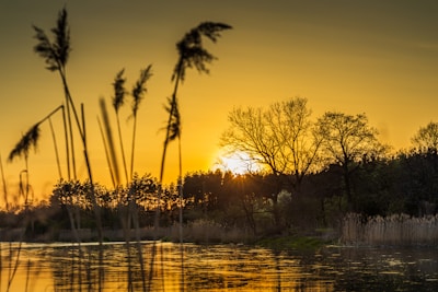 A serene landscape painting depicting a tranquil sunset.