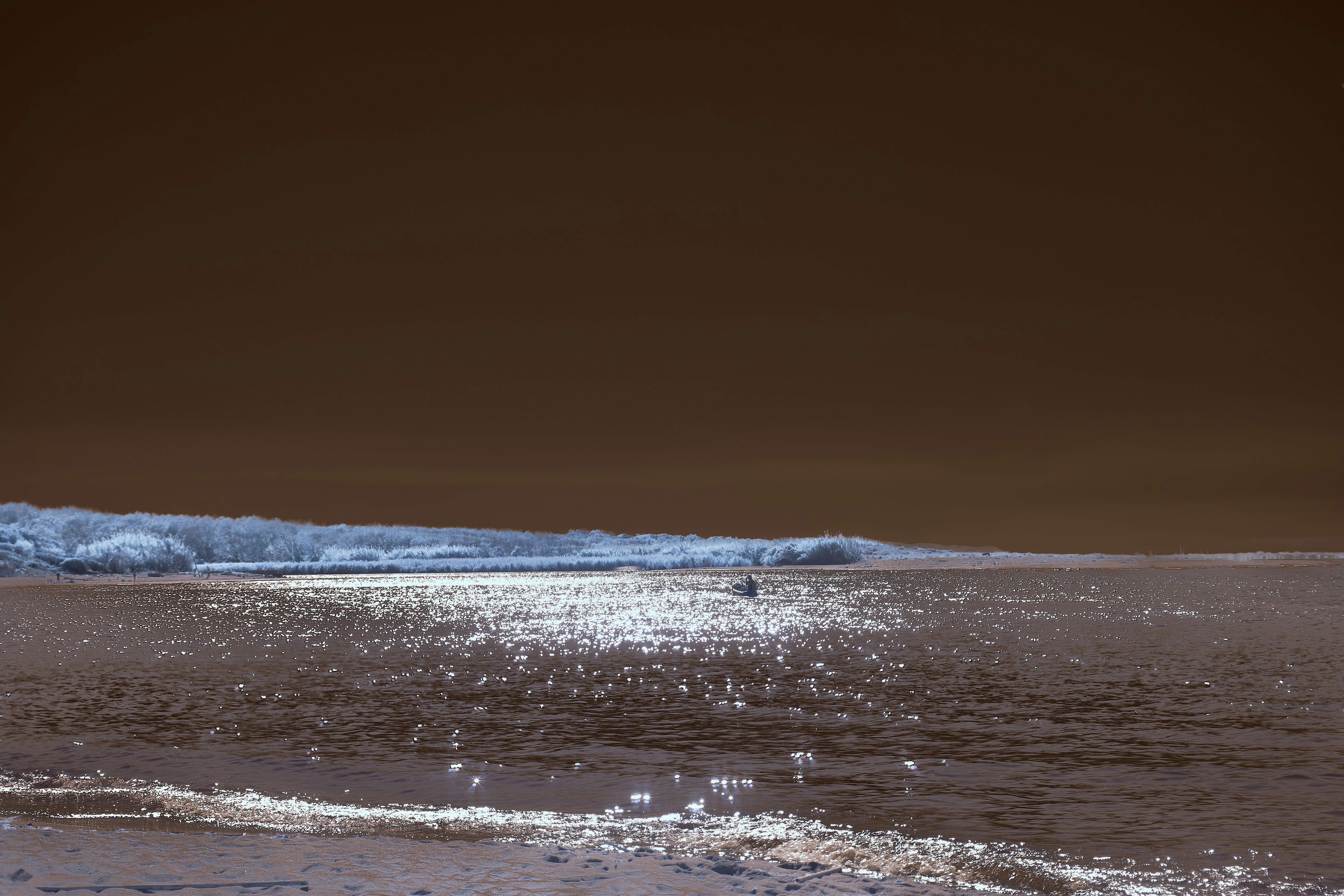 Photo by wolfgang_hasselmann