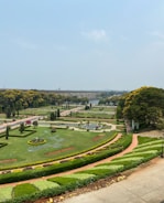 a large green garden
