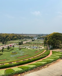 a large green garden