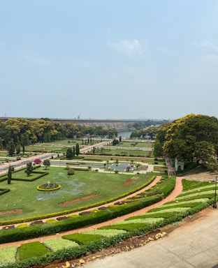 a large green garden
