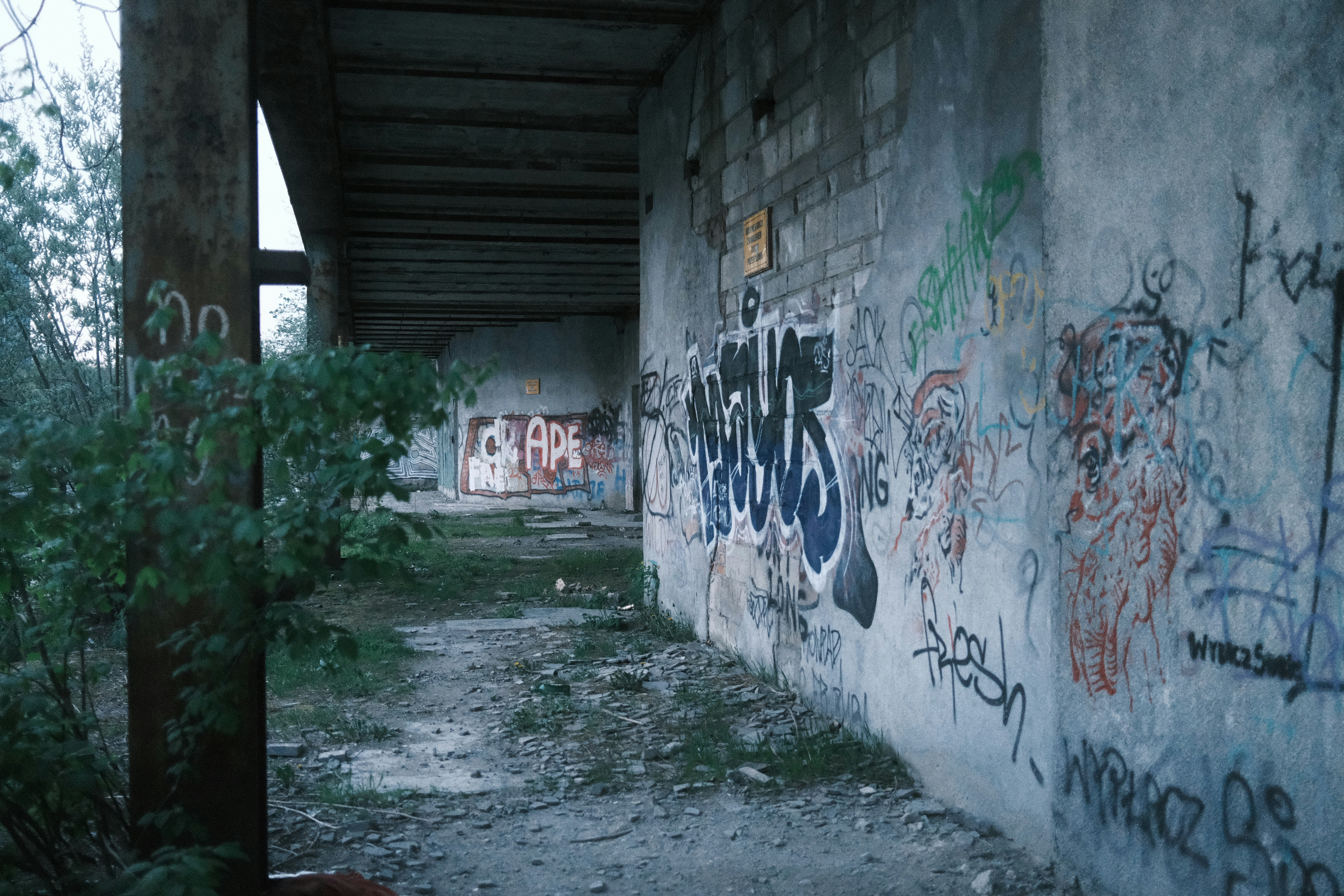 Photo by egorkomarov