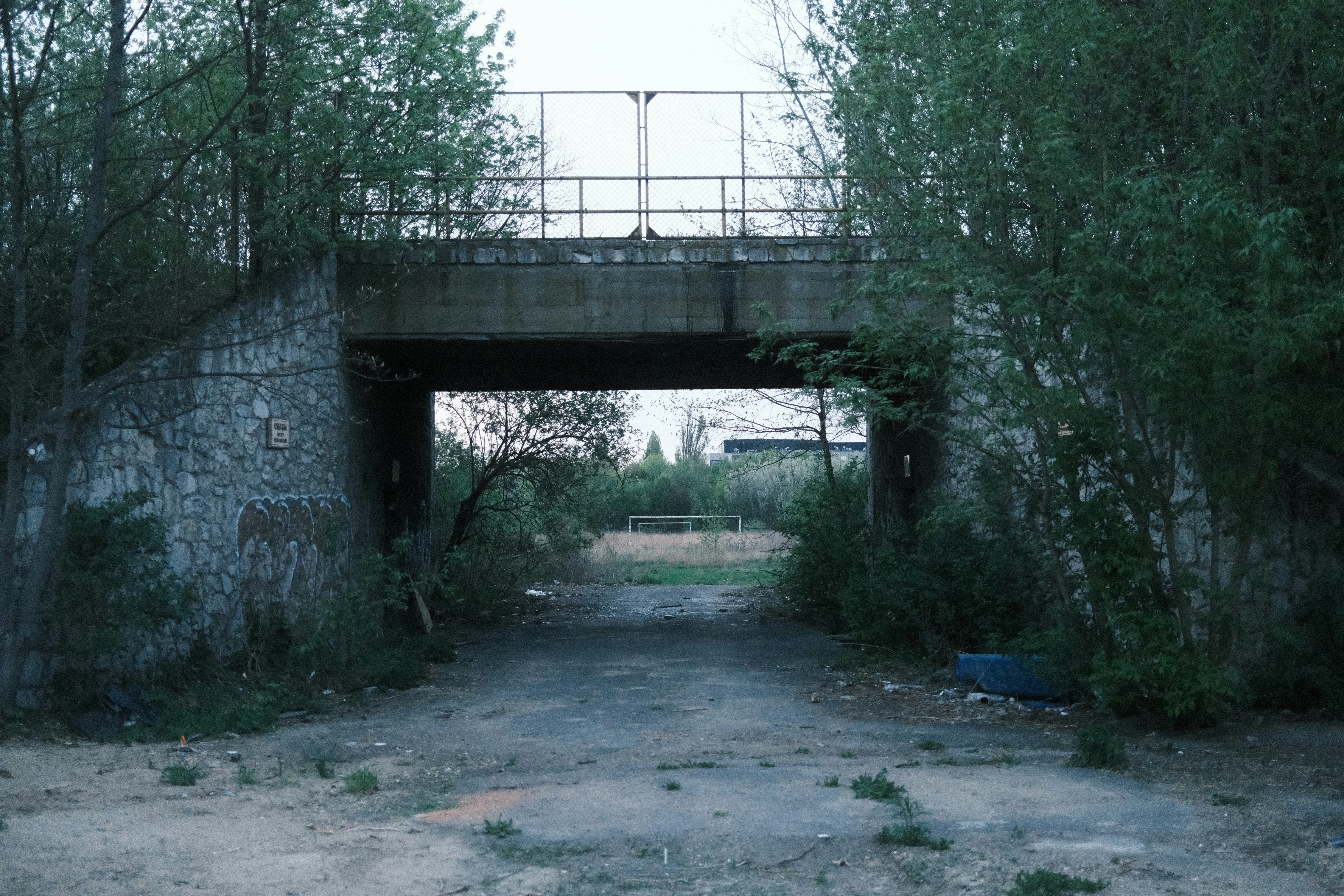 Photo by egorkomarov