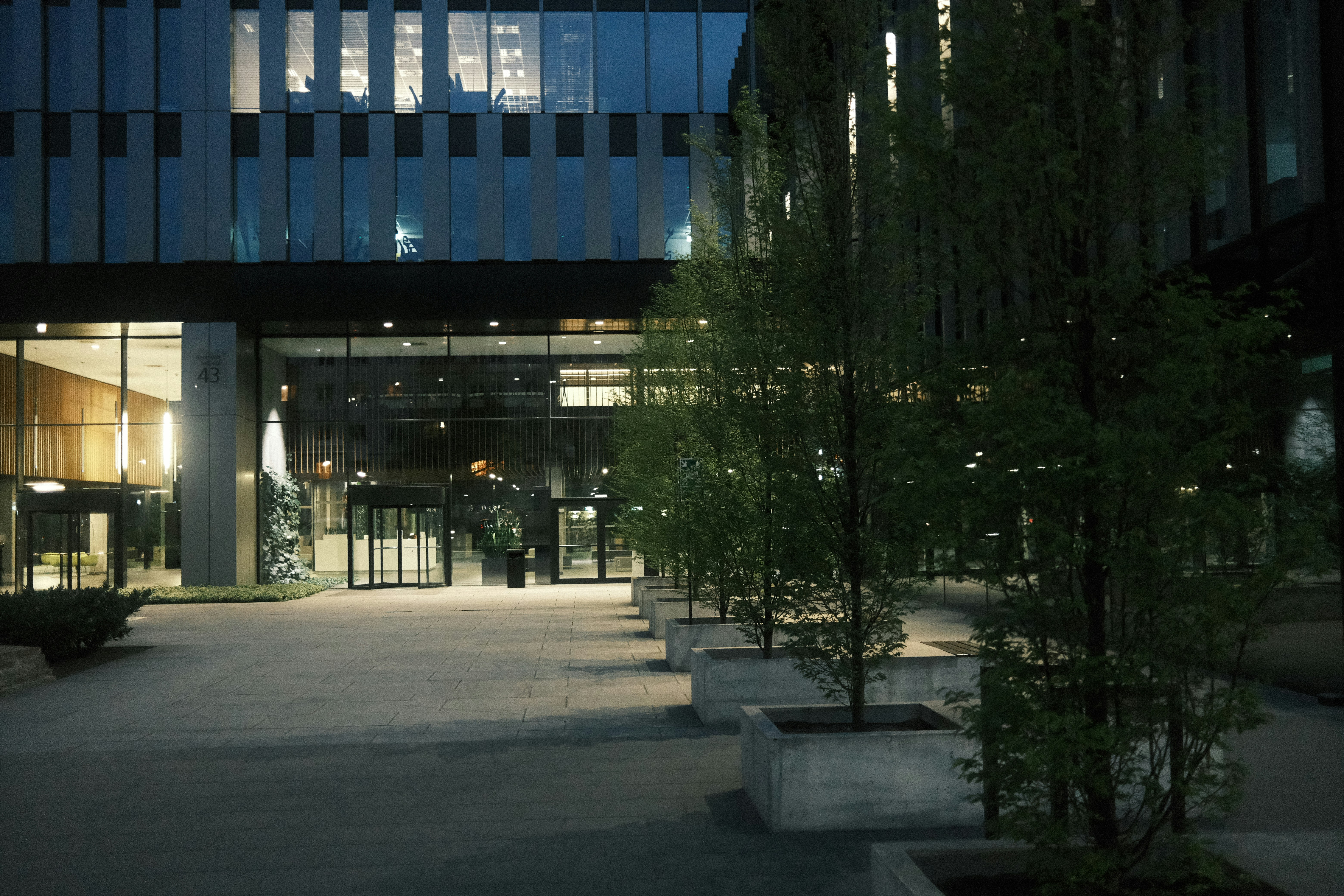 Photo by egorkomarov