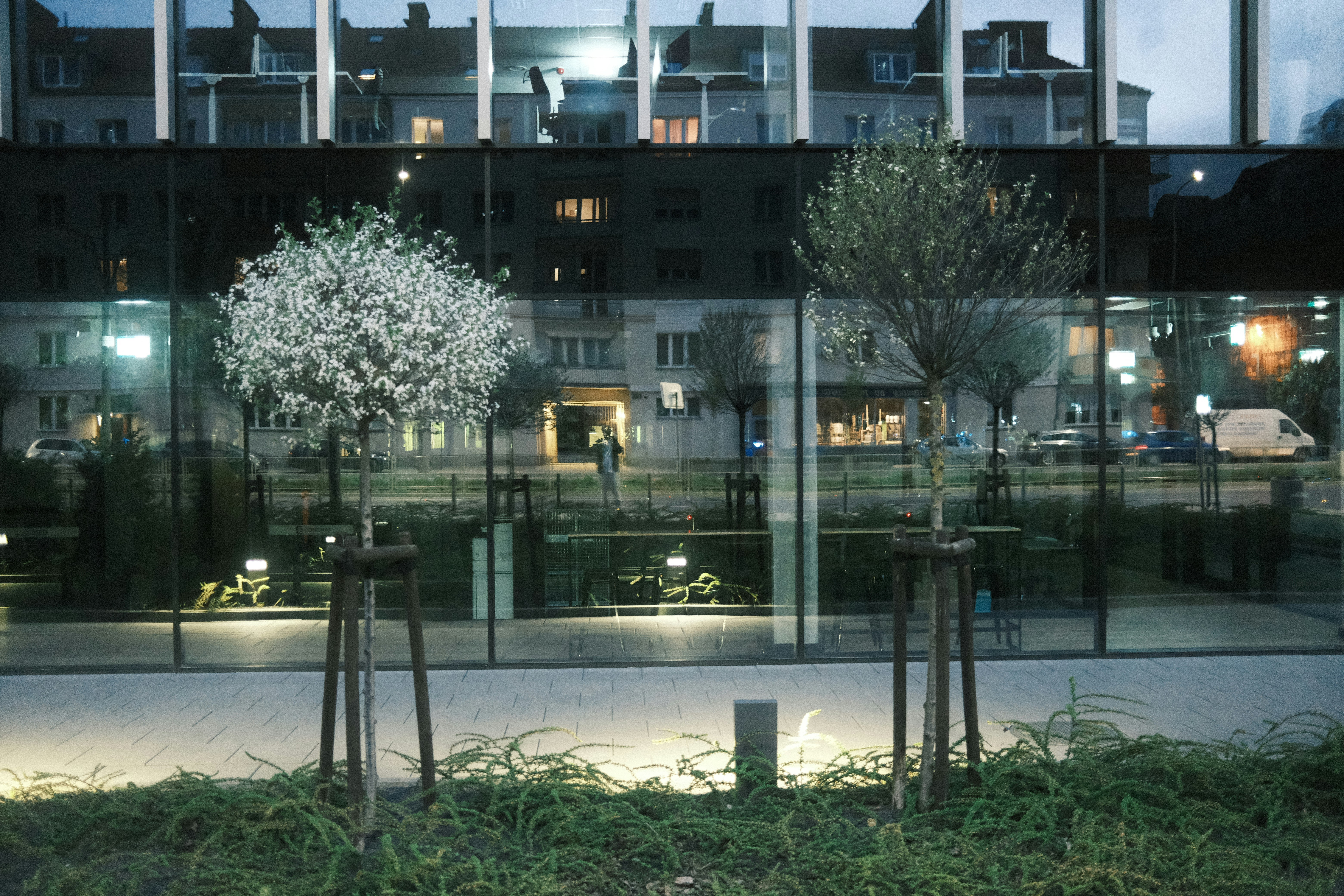 Photo by egorkomarov