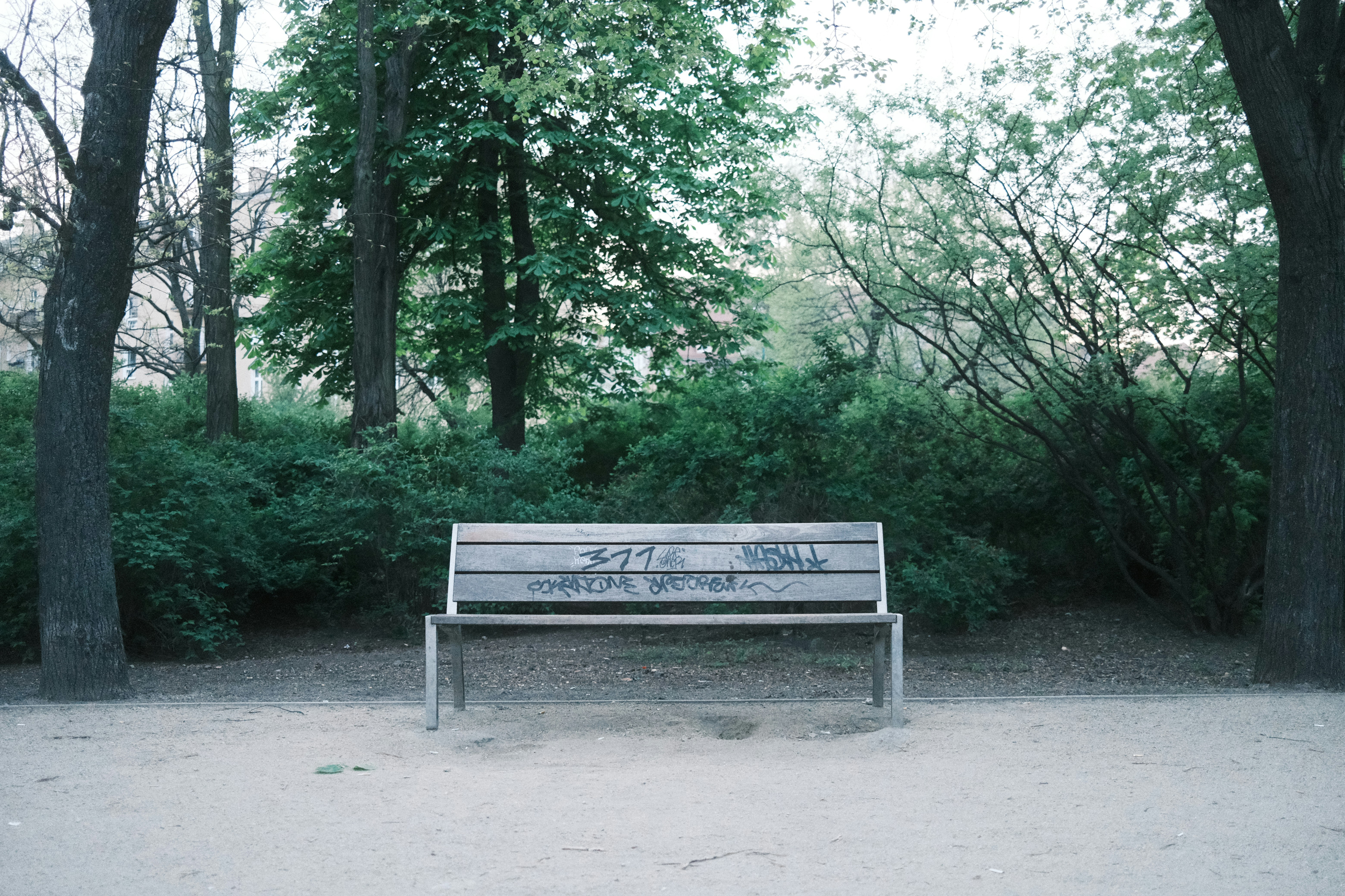 Photo by egorkomarov