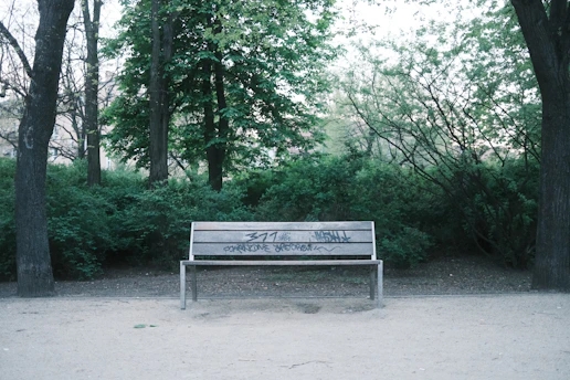 a bench in a park