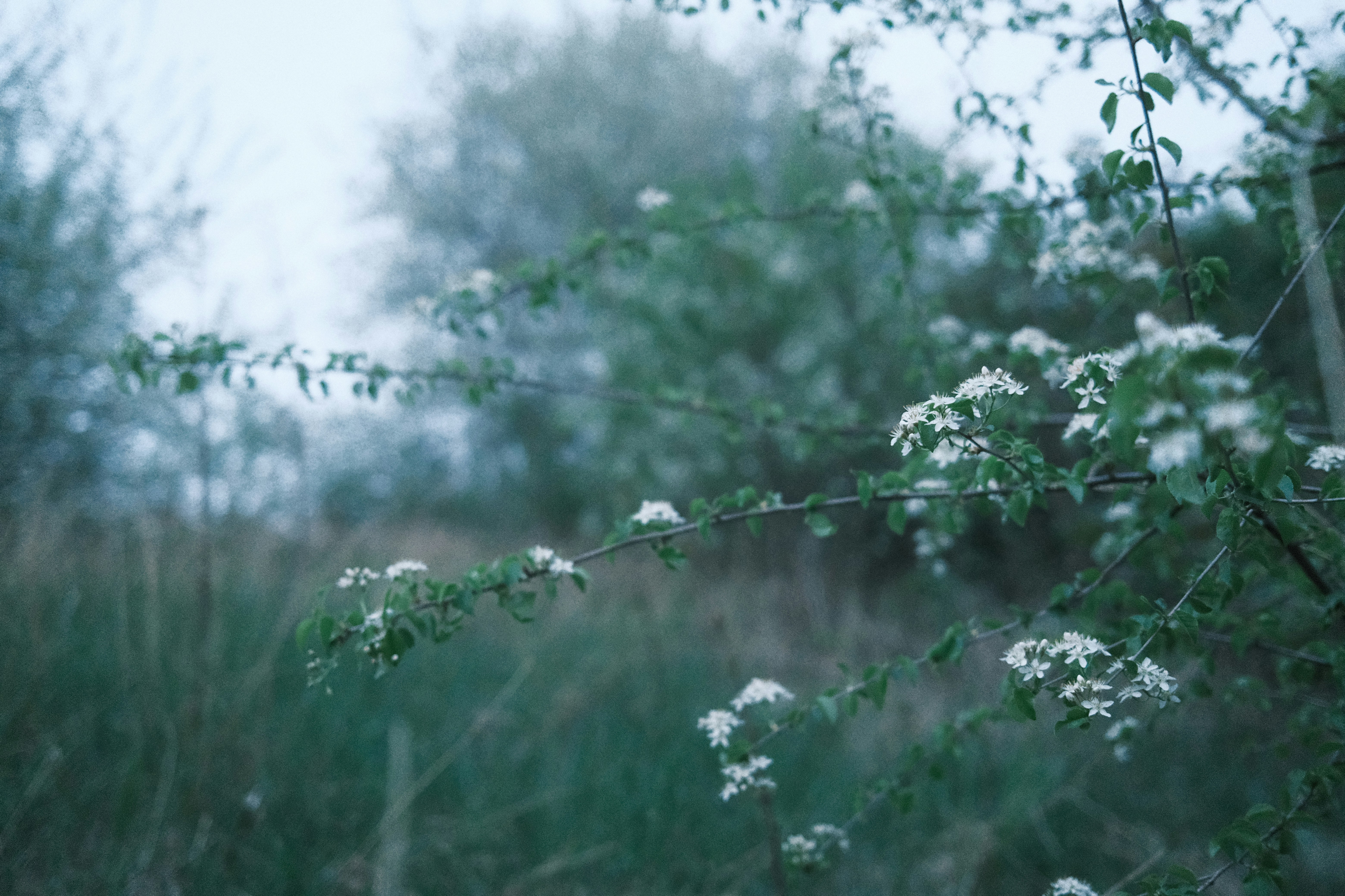 Photo by egorkomarov