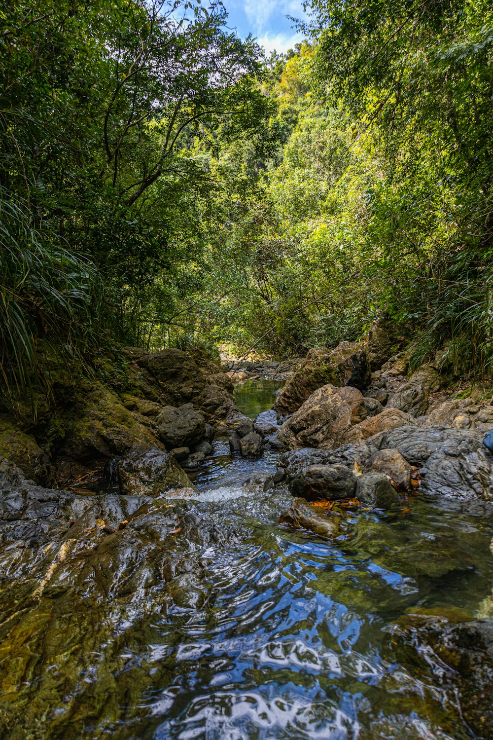 a river with rocks and trees