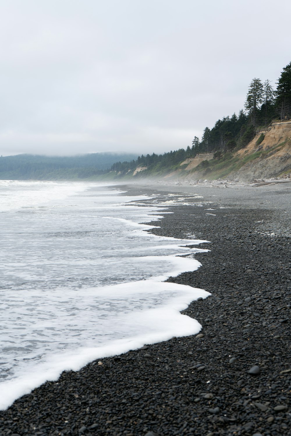 a rocky beach with trees and hills in the background