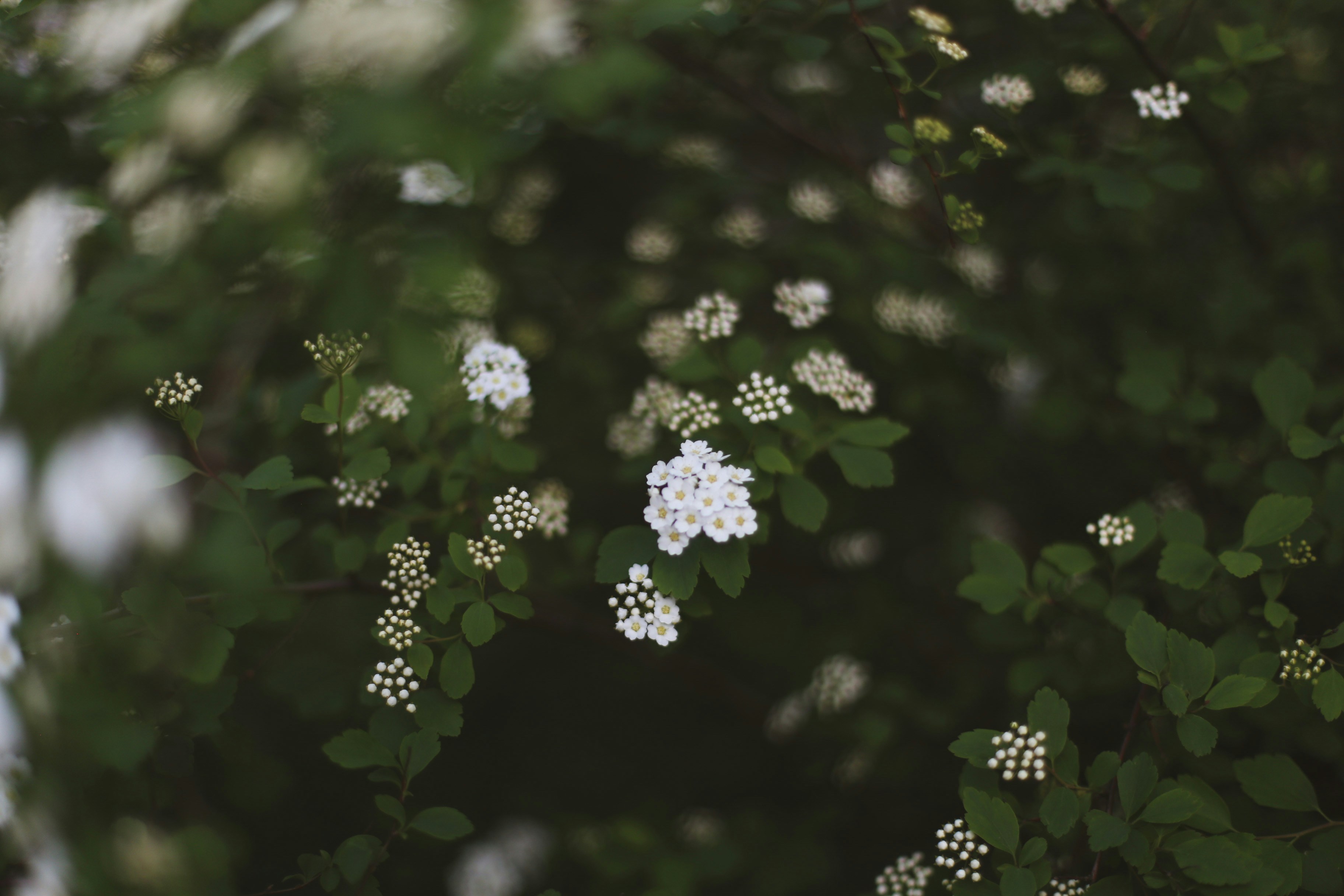 Photo by jessicalfadel