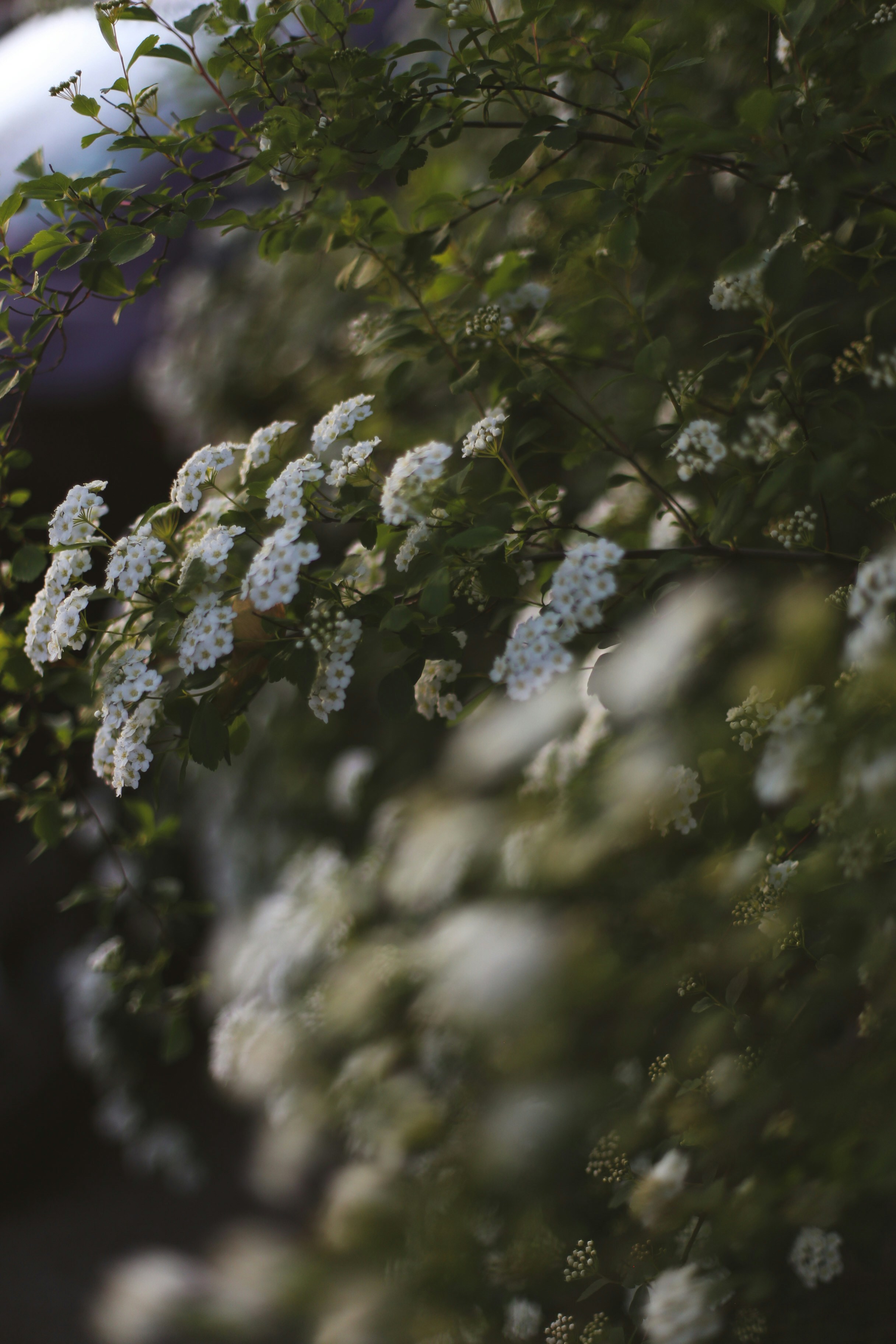 Photo by jessicalfadel